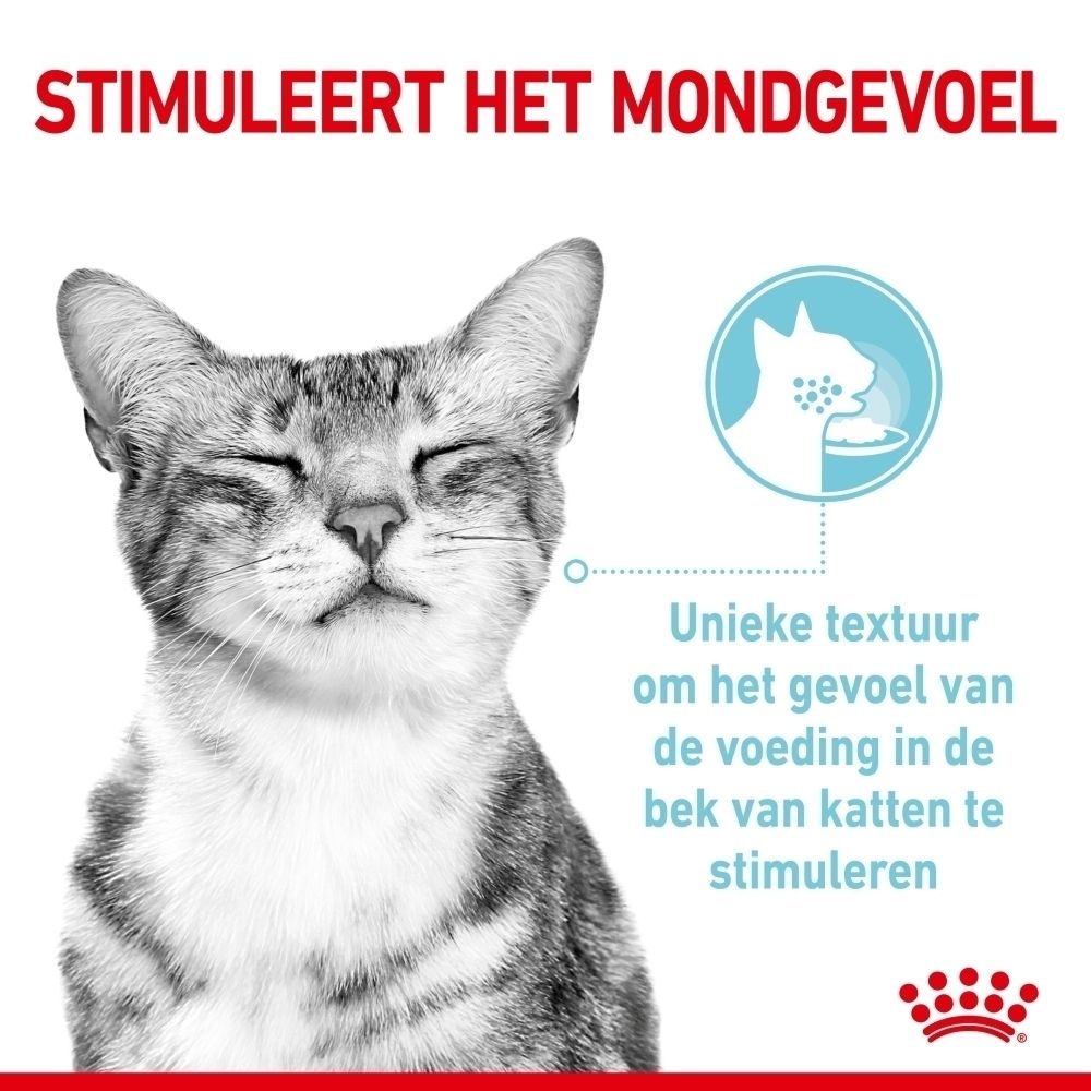 Kat met gesloten ogen, met unieke textuur die mondgevoel stimuleert.