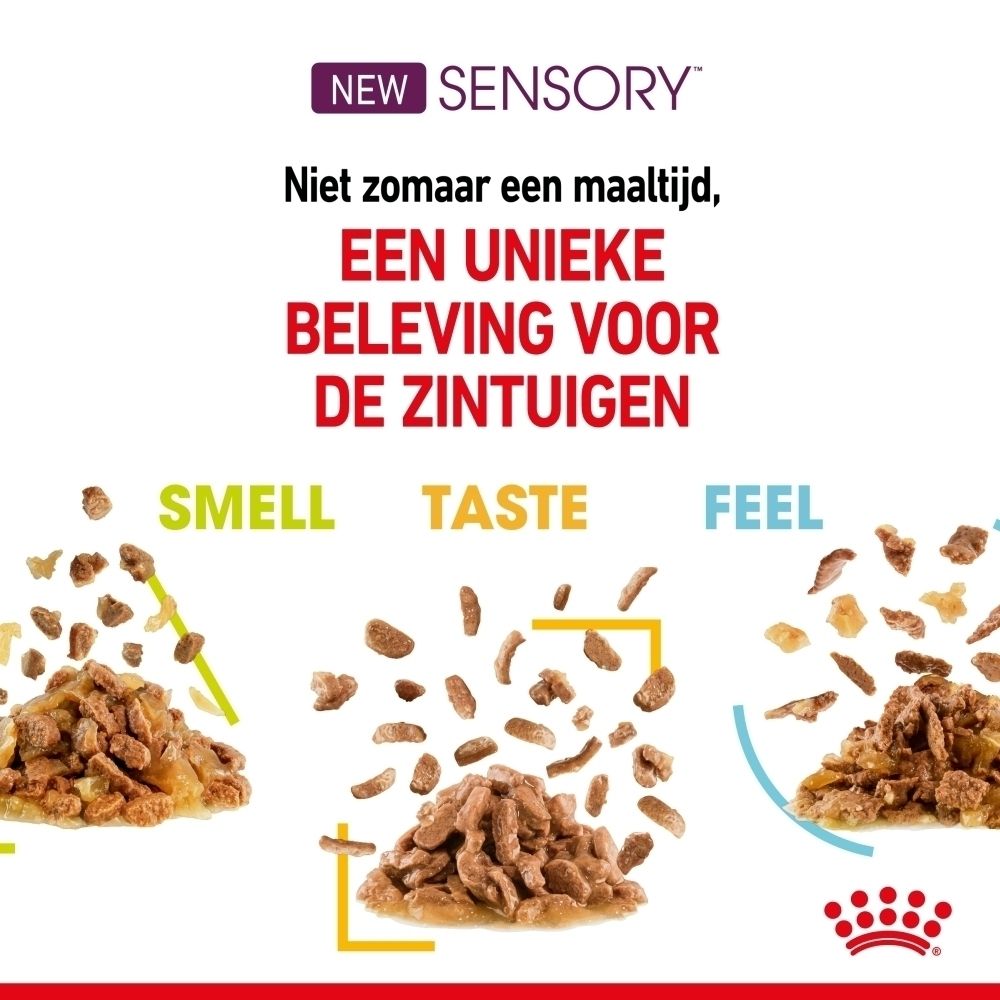 Voerbrokjes met de termen "Smell", "Taste" en "Feel".