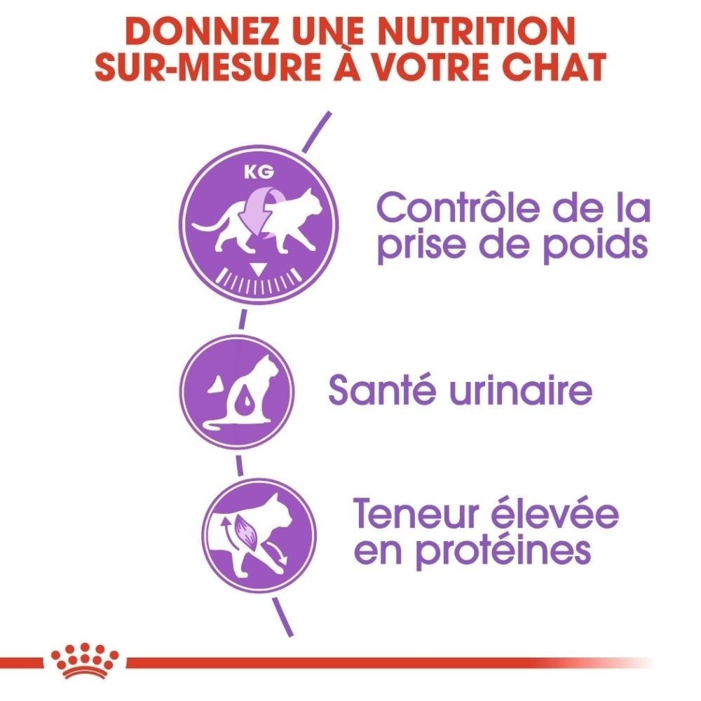 Trois icônes : gestion du poids, santé urinaire, haute teneur en protéines. Titre : « Une nutrition sur mesure pour votre chat ».