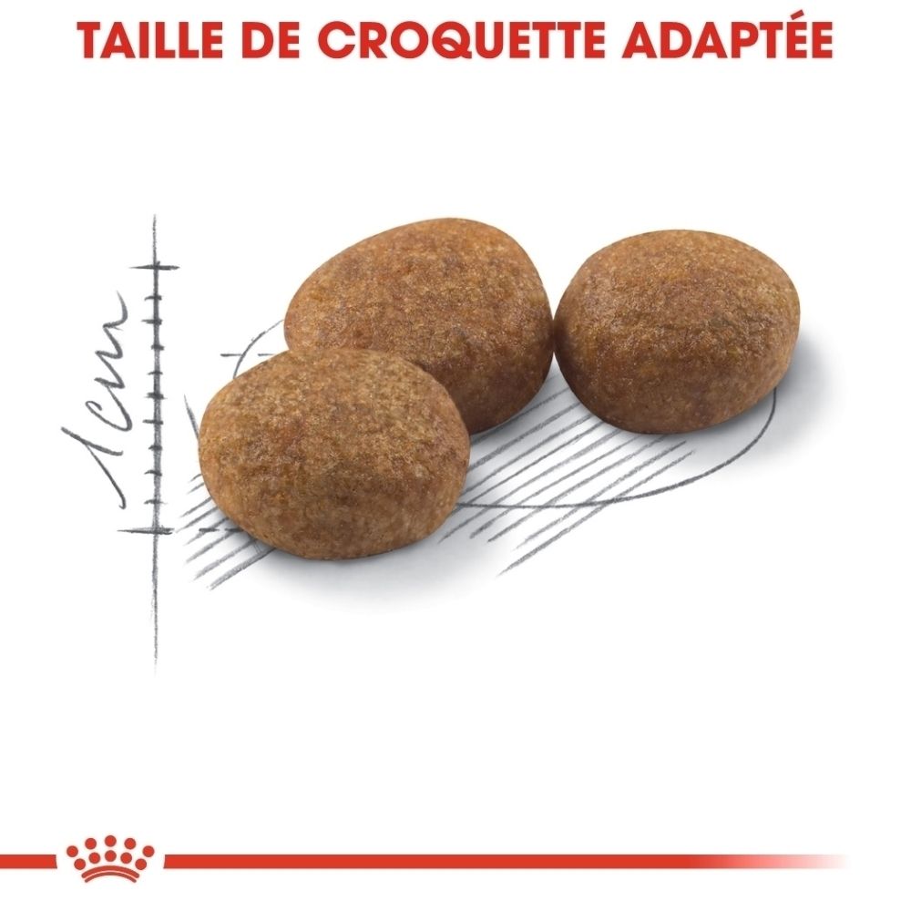 Trois croquettes brunes avec une échelle de 1 cm à côté.