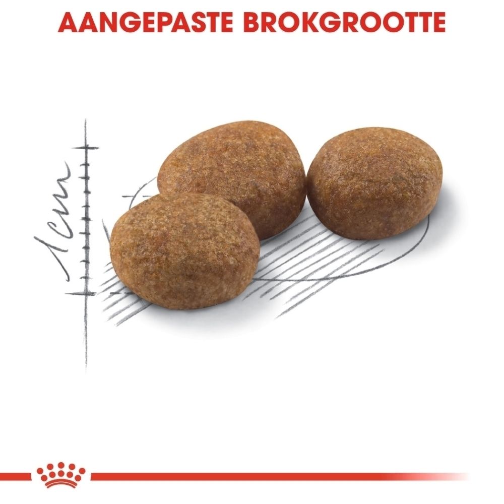 Drie bruine hondenbrokken met een maataanduiding van 1 cm.