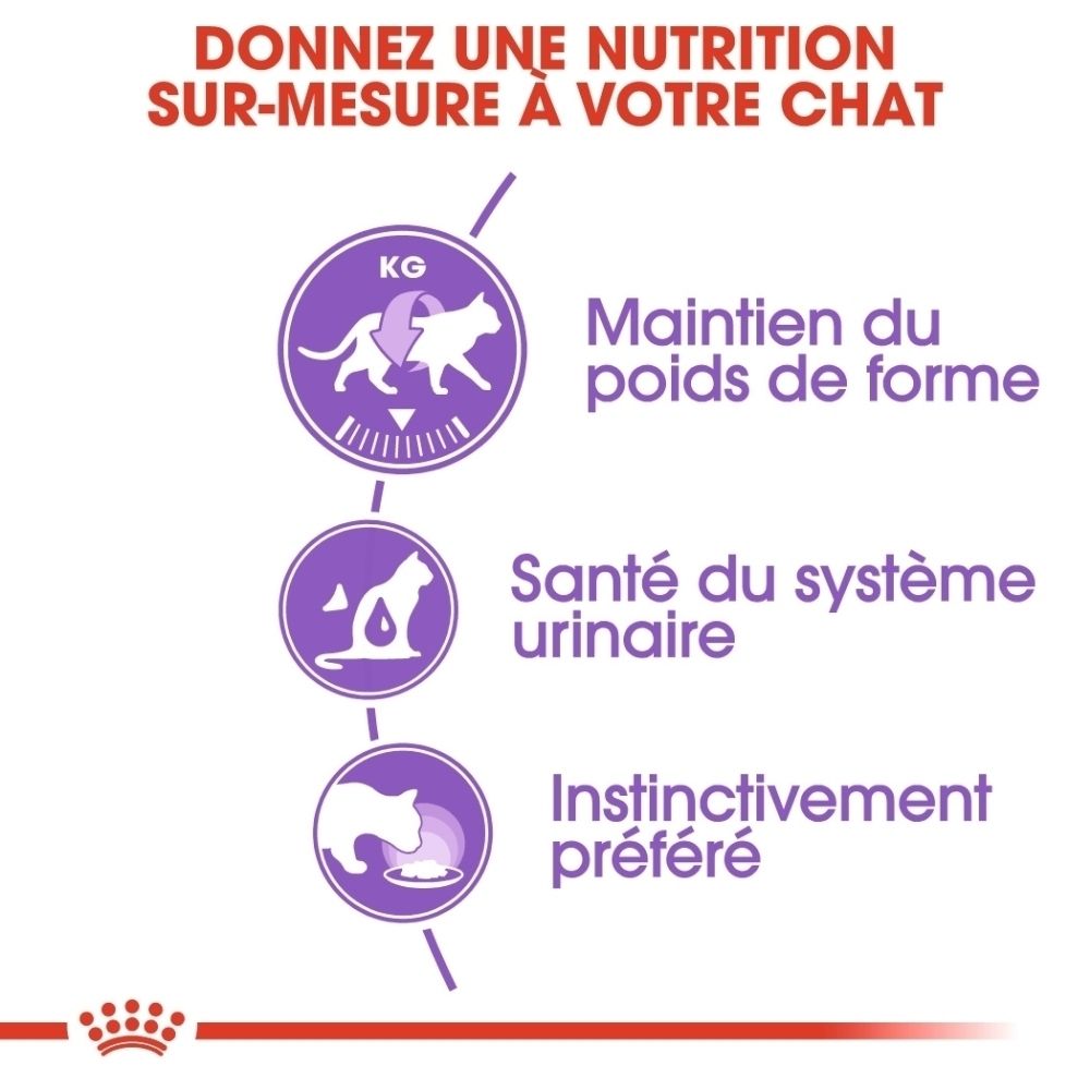 Graphique sur les recommandations alimentaires pour Royal Canin Sterilised.