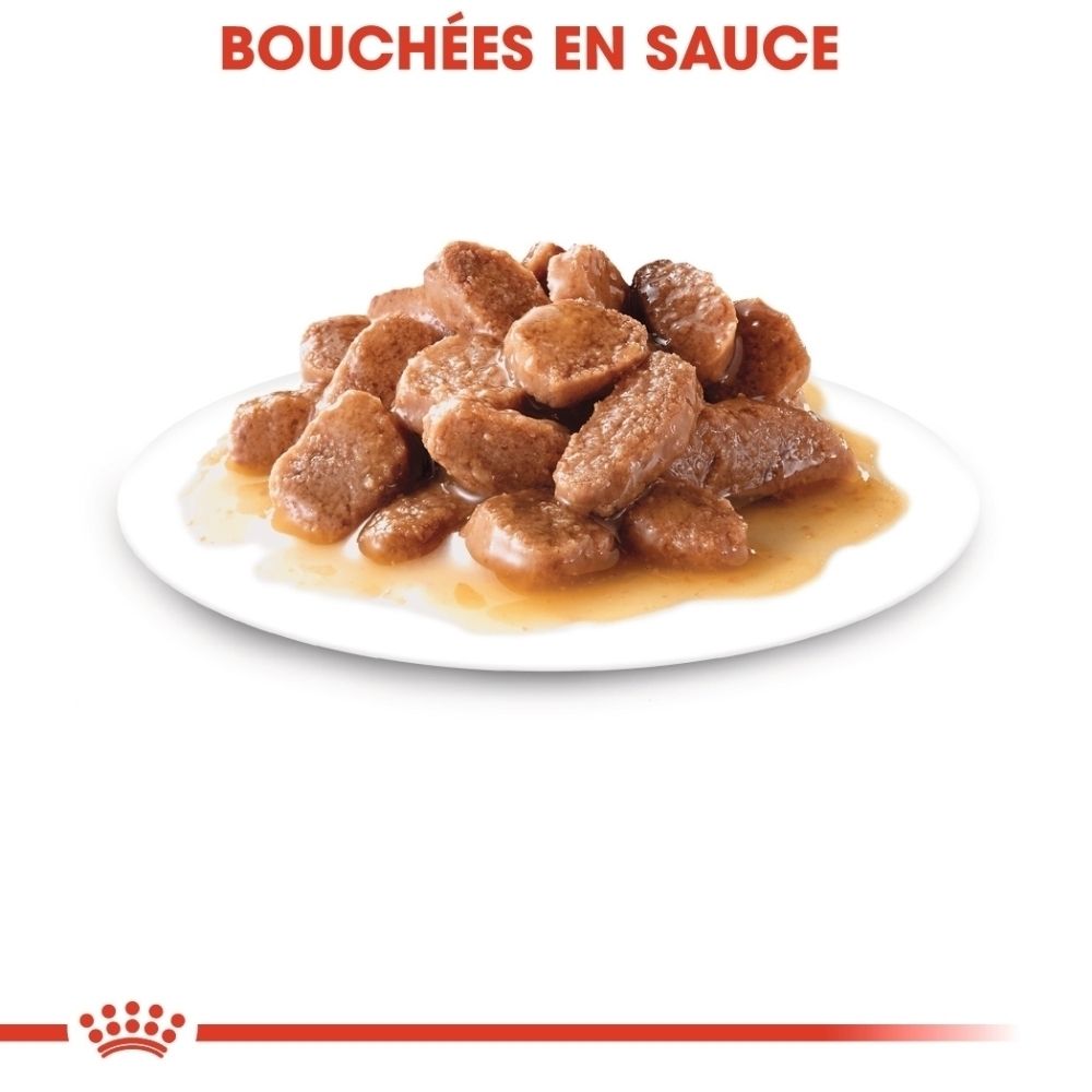 Graphique montrant les bénéfices : contrôle du poids, voies urinaires.