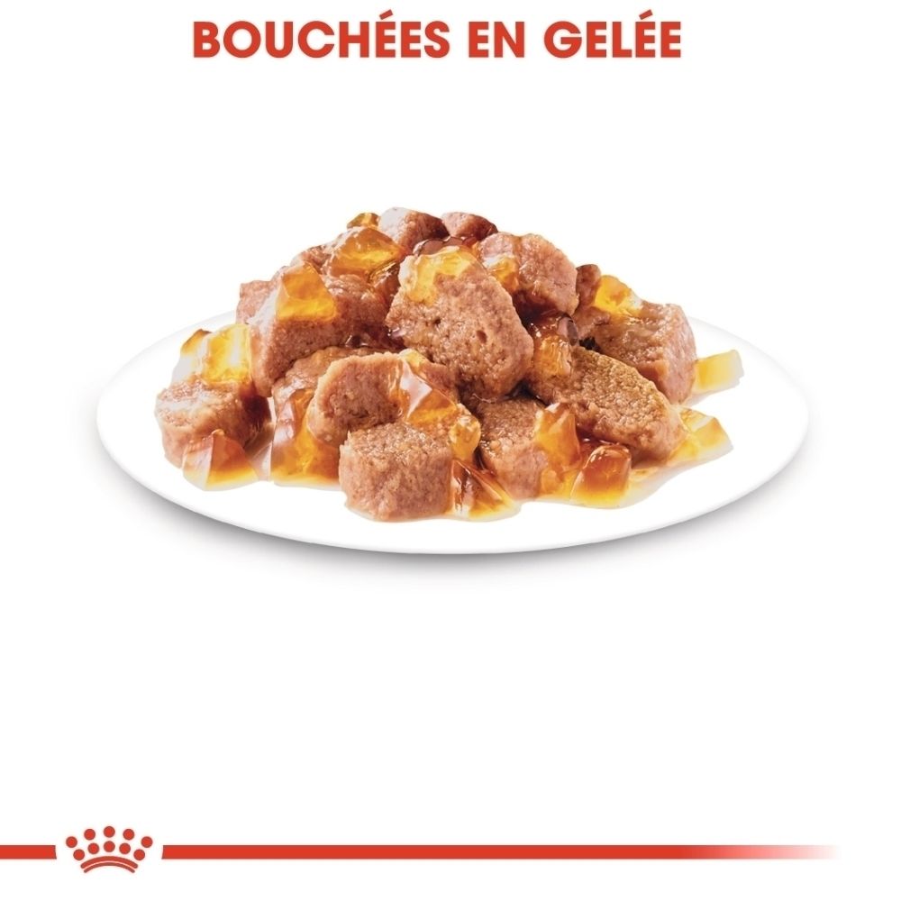 Pouch Royal Canin Sterilised pour chats, 85g, avec constituants analytiques.