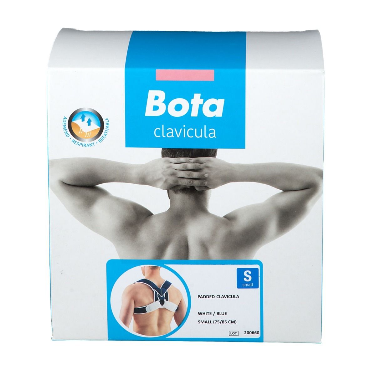 Bota Padded Clavicula Splint Small