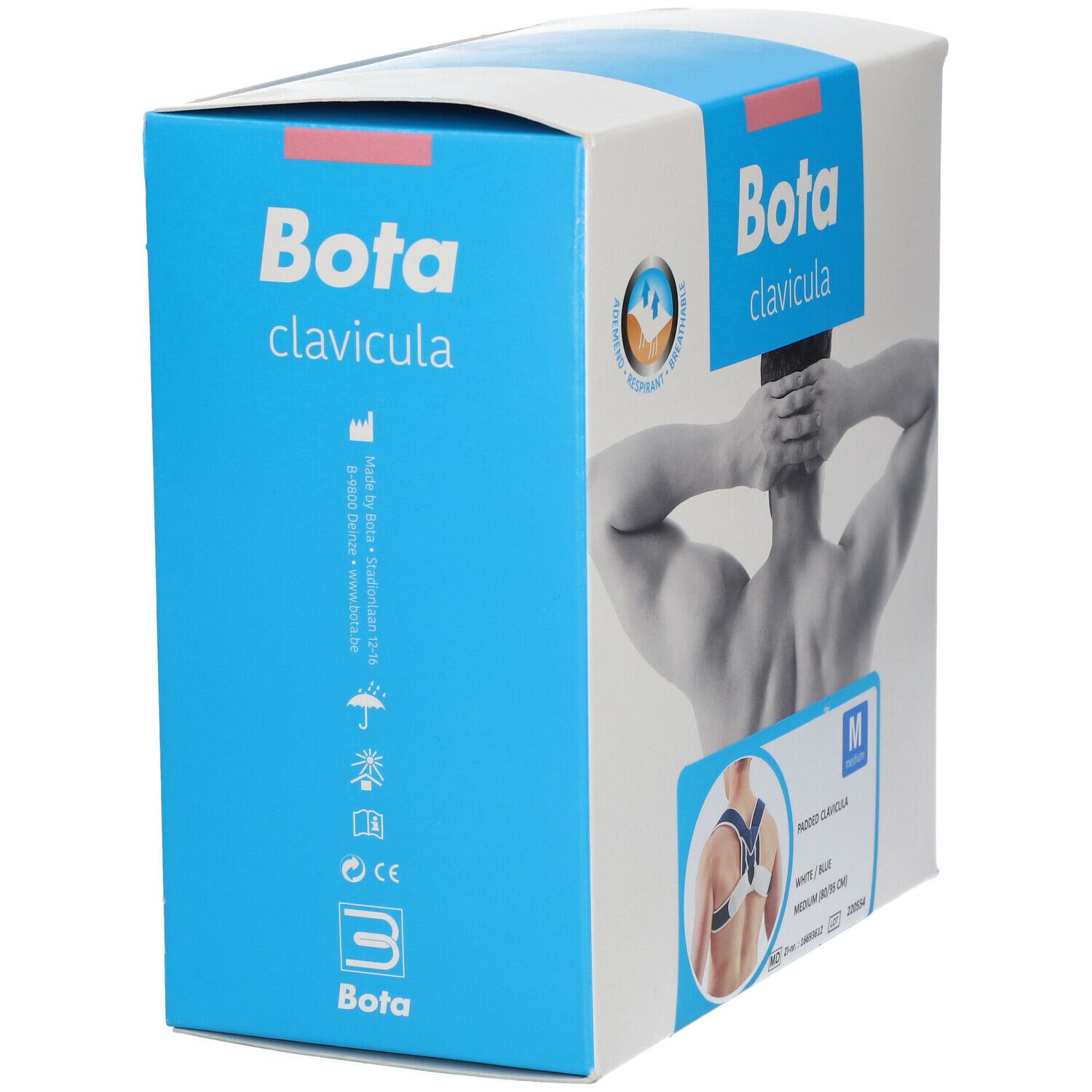 Bota Padded Clavicula Splint Medium