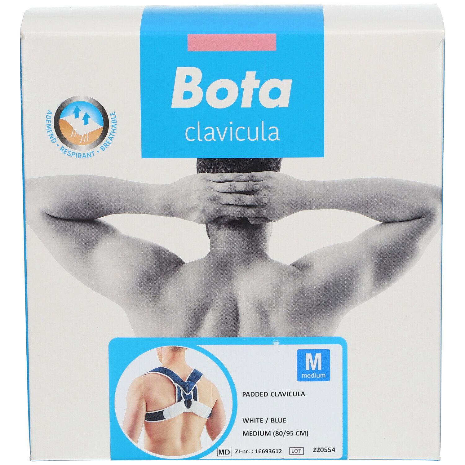 Bota Padded Clavicula Splint Medium