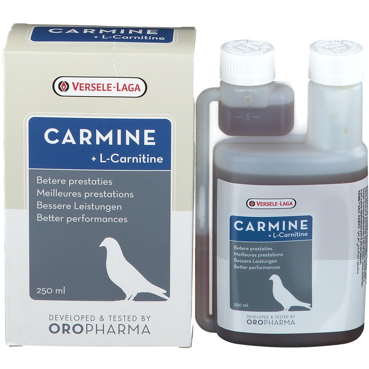 Carmine + L-Carnitine Pigeons