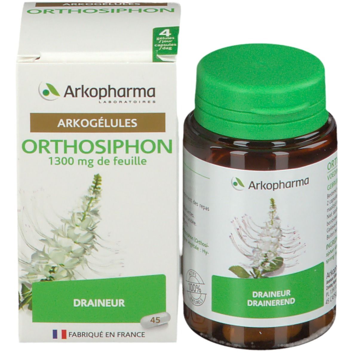 Arkogélules Orthosiphon Végétal