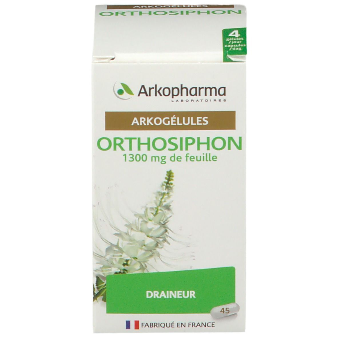 Arkogélules Orthosiphon Végétal