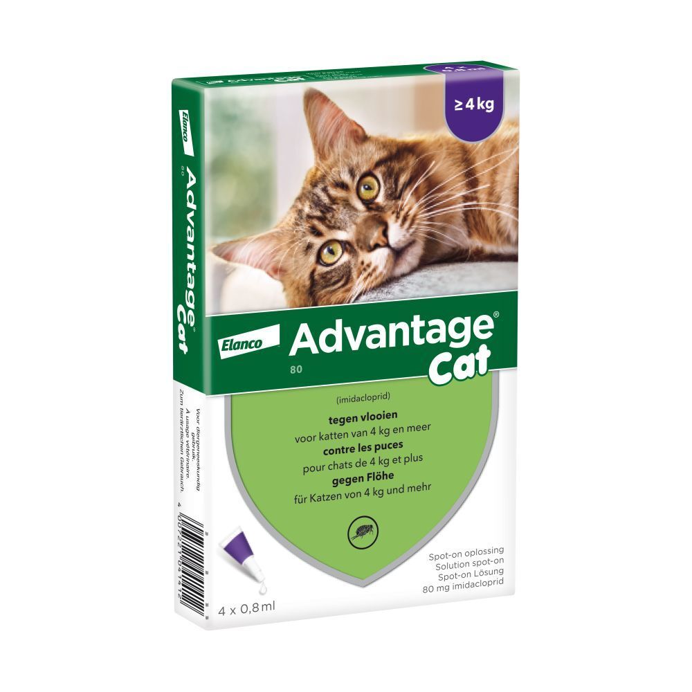 Advantage 80 Spot-On Solution Chat >4kg