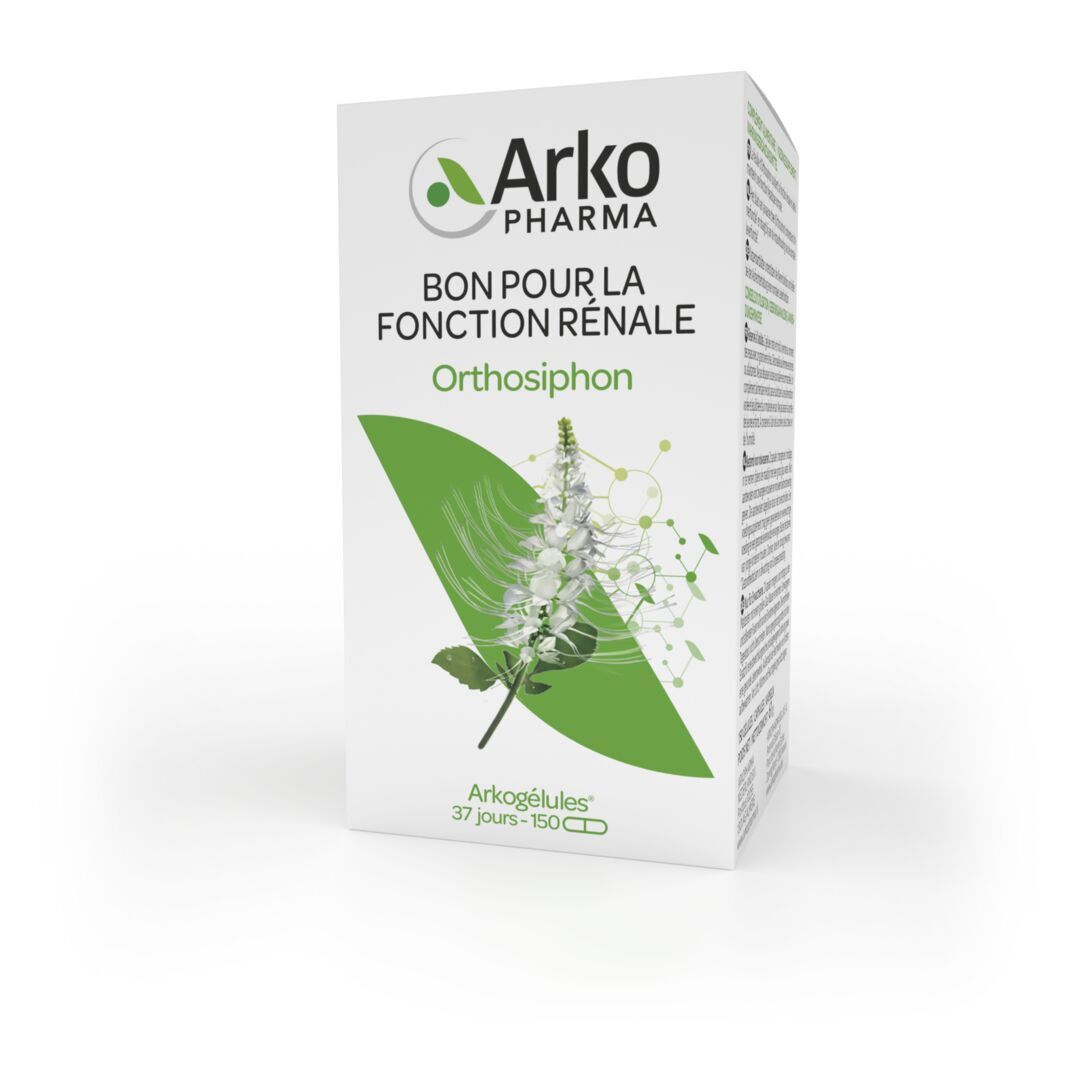 Arkogelules Orthosiphon Vegetal