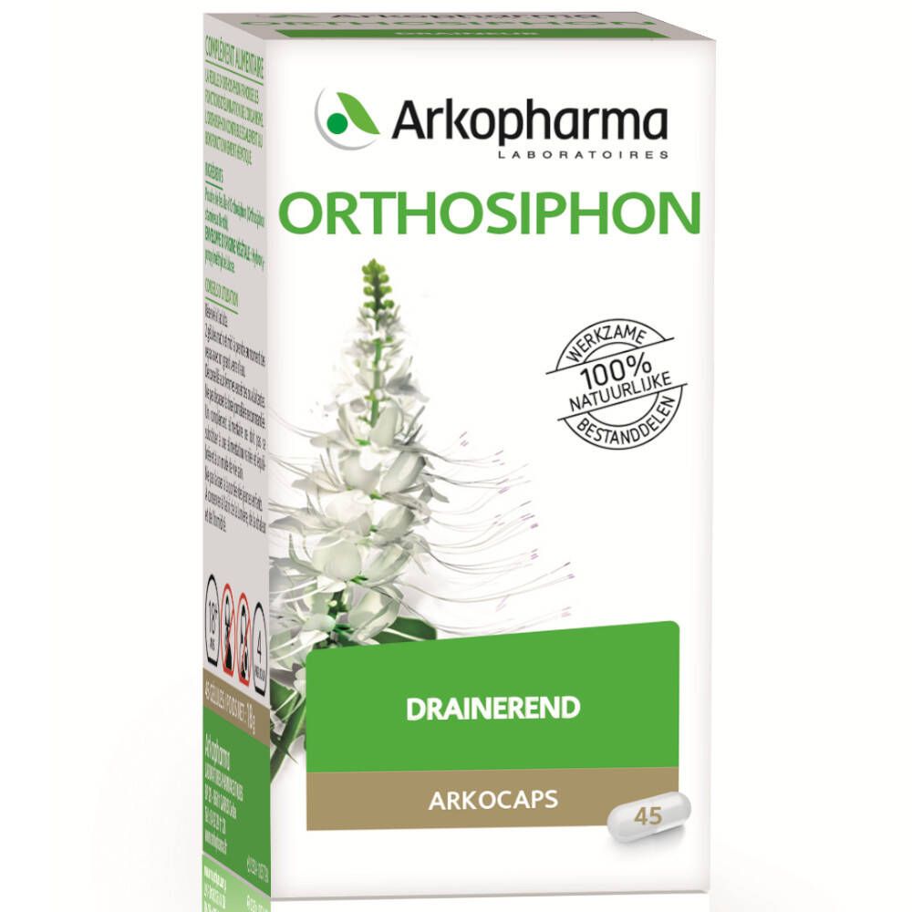 Arkogelules Orthosiphon Vegetal