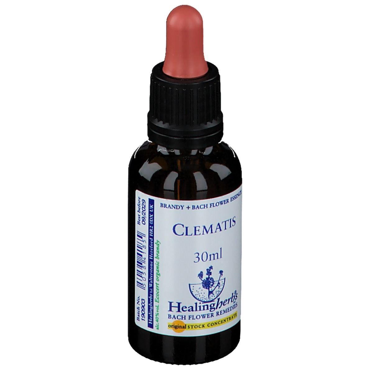 Healing Herbs Clematis