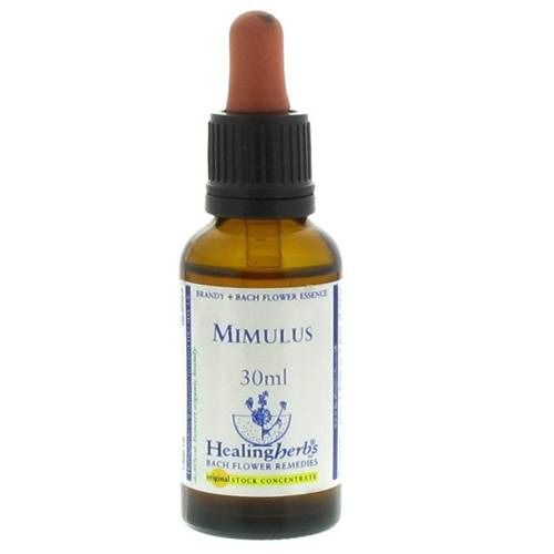 Healing Herbs Mimulus