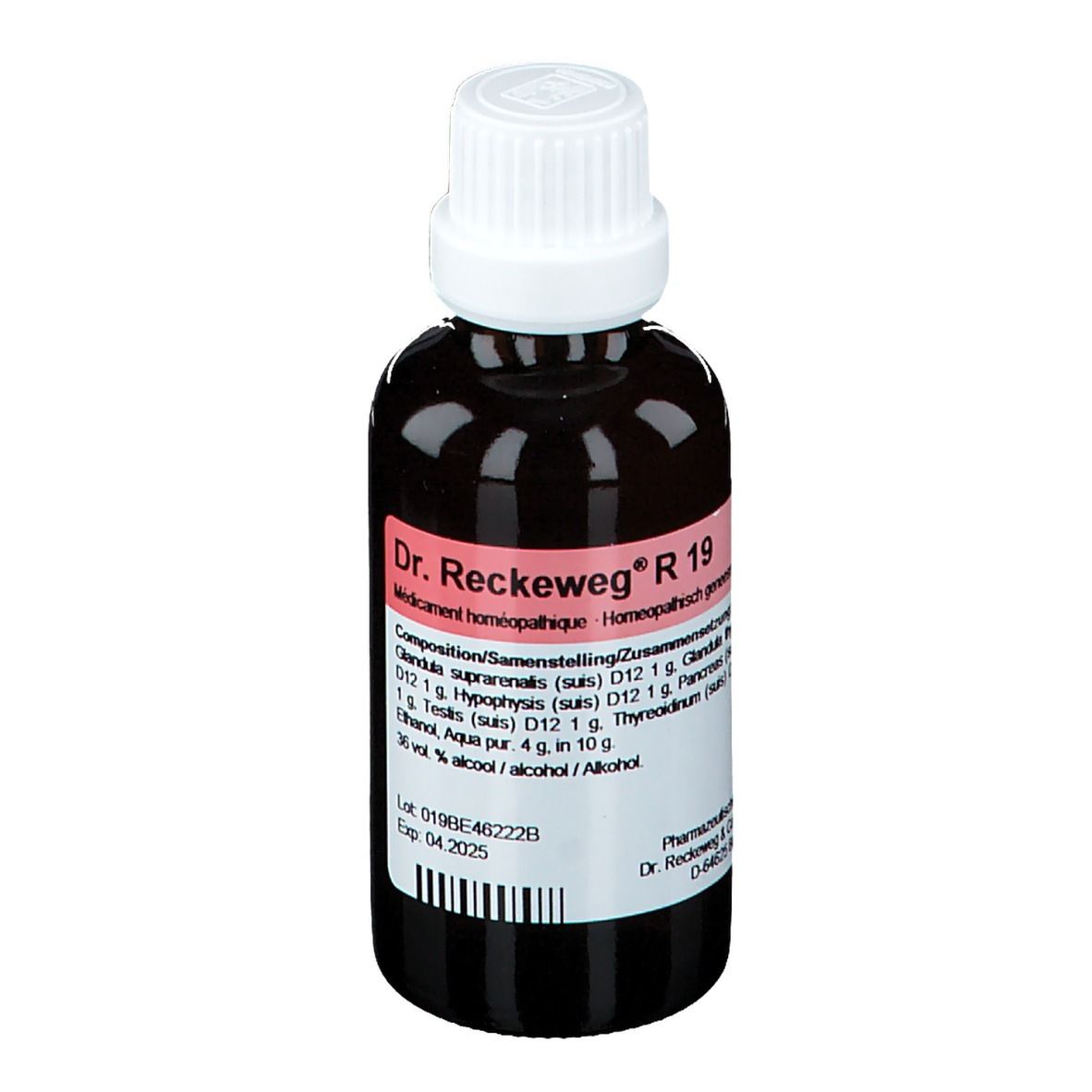Bruine glazen fles met witte dop. Etiket met productnaam Dr. Reckeweg R 19 en ingrediënten.