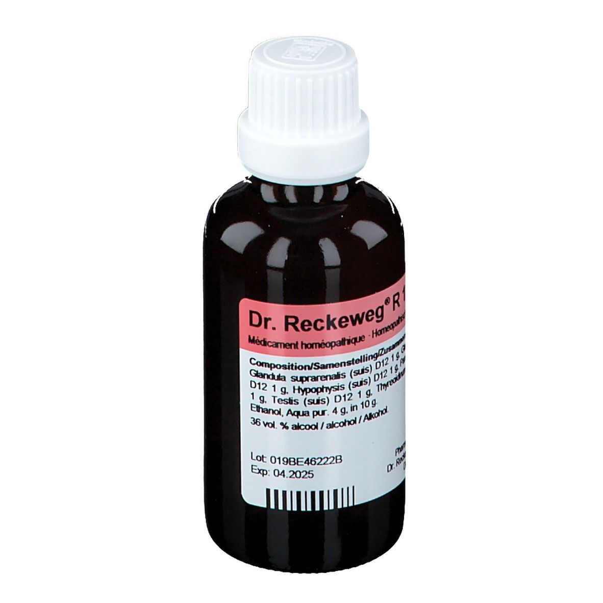 Bruine glazen fles met witte dop. Etiket met productnaam Dr. Reckeweg R 19 en ingrediënten.