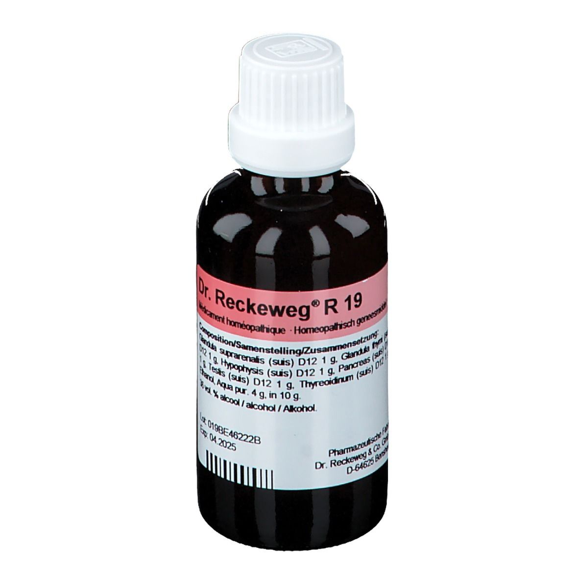 Bruine glazen fles met witte dop. Etiket met productnaam Dr. Reckeweg R 19 en ingrediënten.