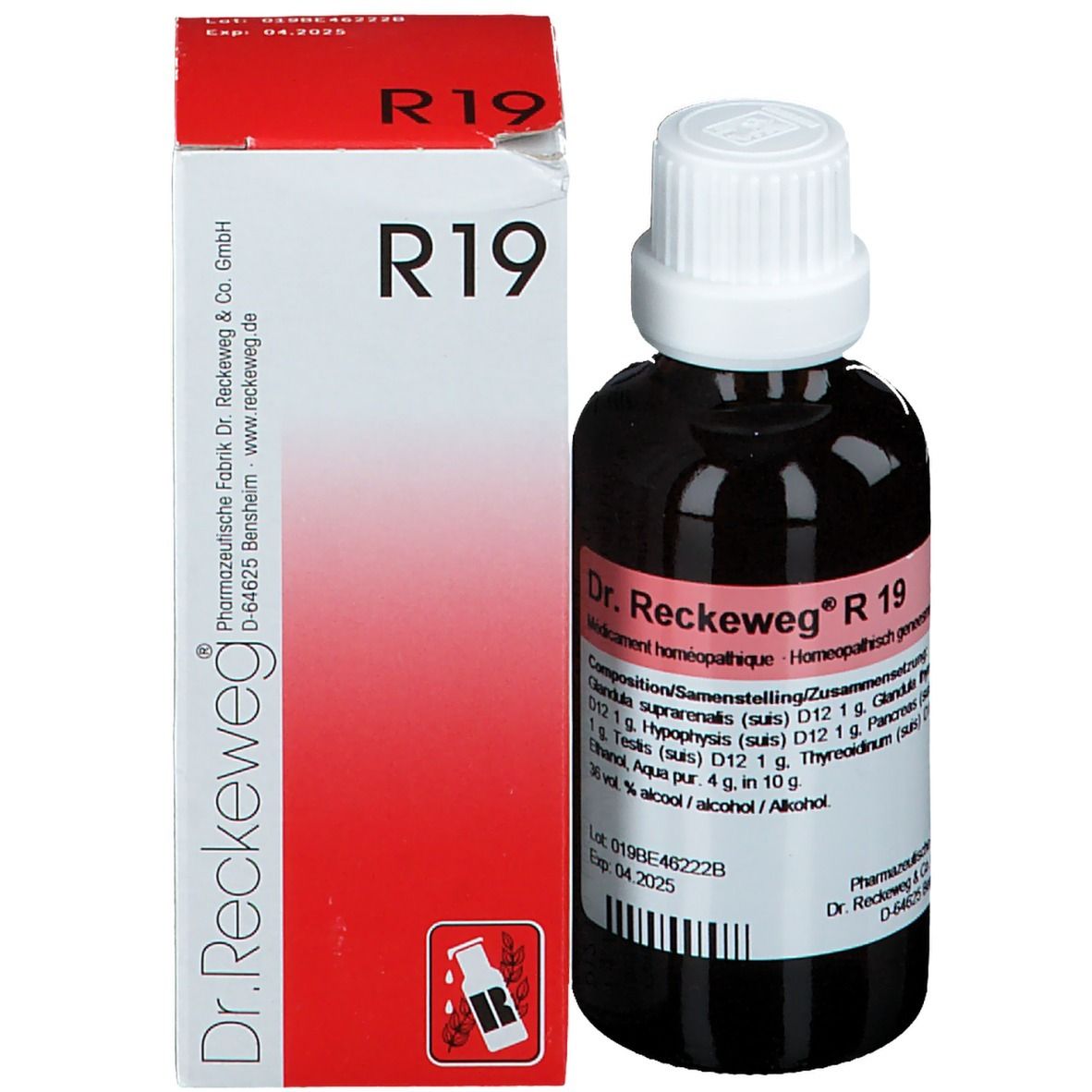 Bruine glazen fles met witte dop en doos. Op de doos staat R 19 en Dr. Reckeweg.