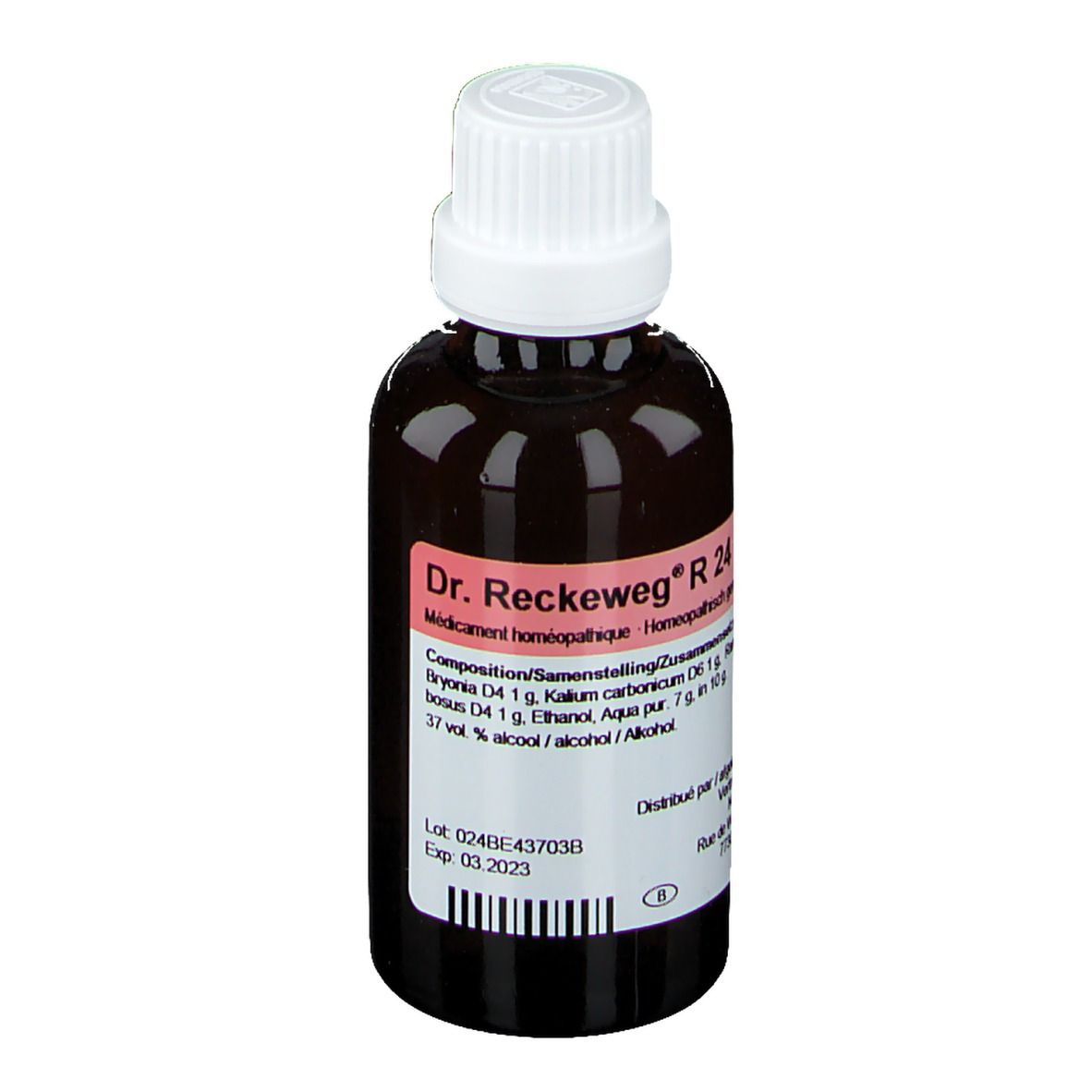 Bruine glazen fles met witte dop. Etiket met productnaam Dr. Reckeweg R 24 en informatie.