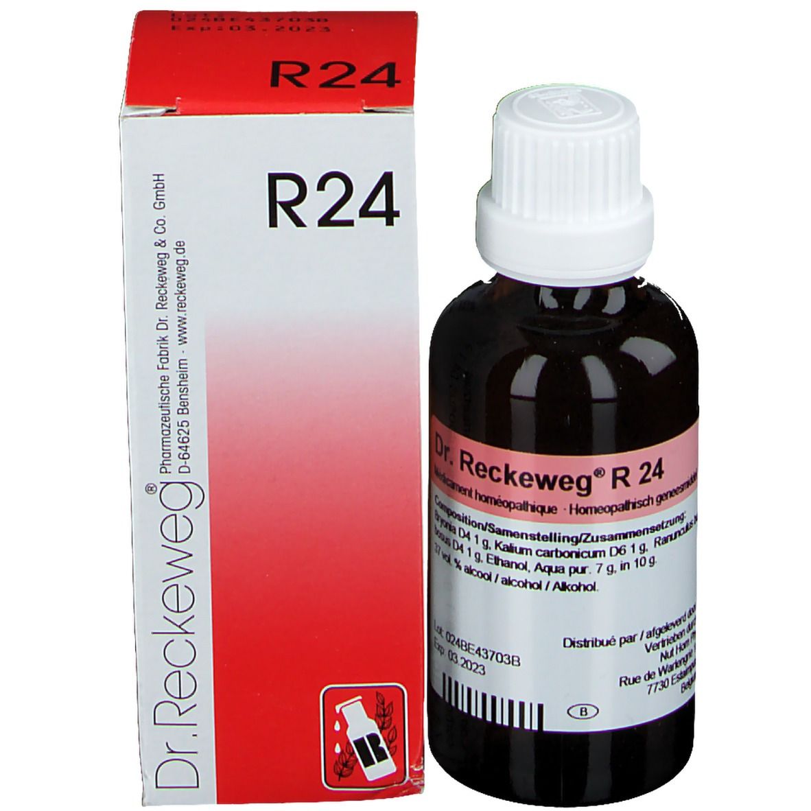 Bruine glazen fles met witte dop en rode verpakking. Productnaam Dr. Reckeweg R 24 zichtbaar.