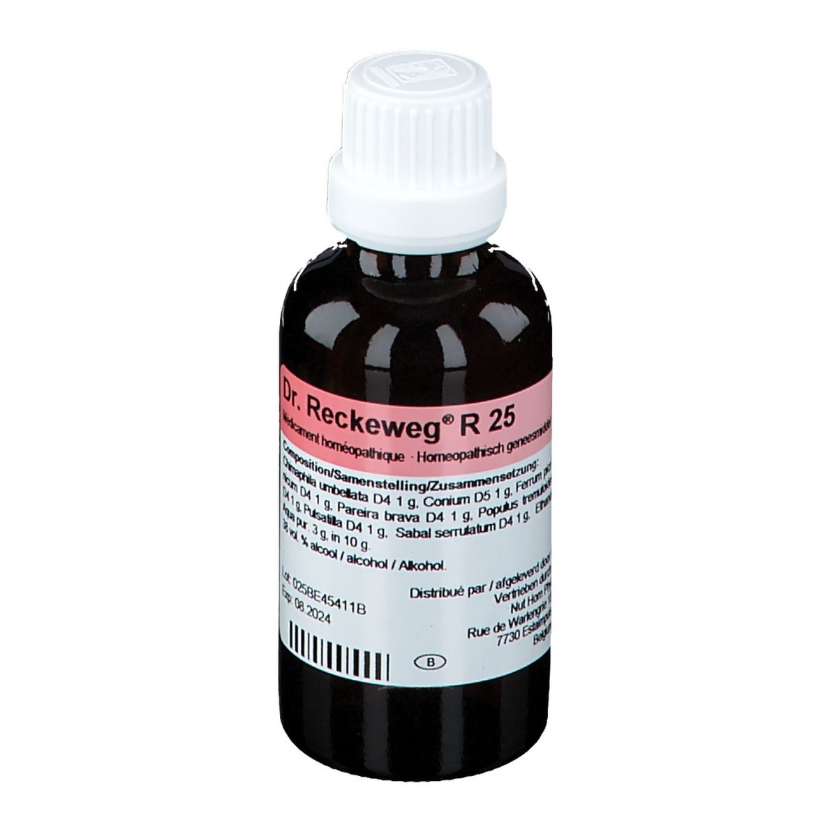 Reckeweg R 25