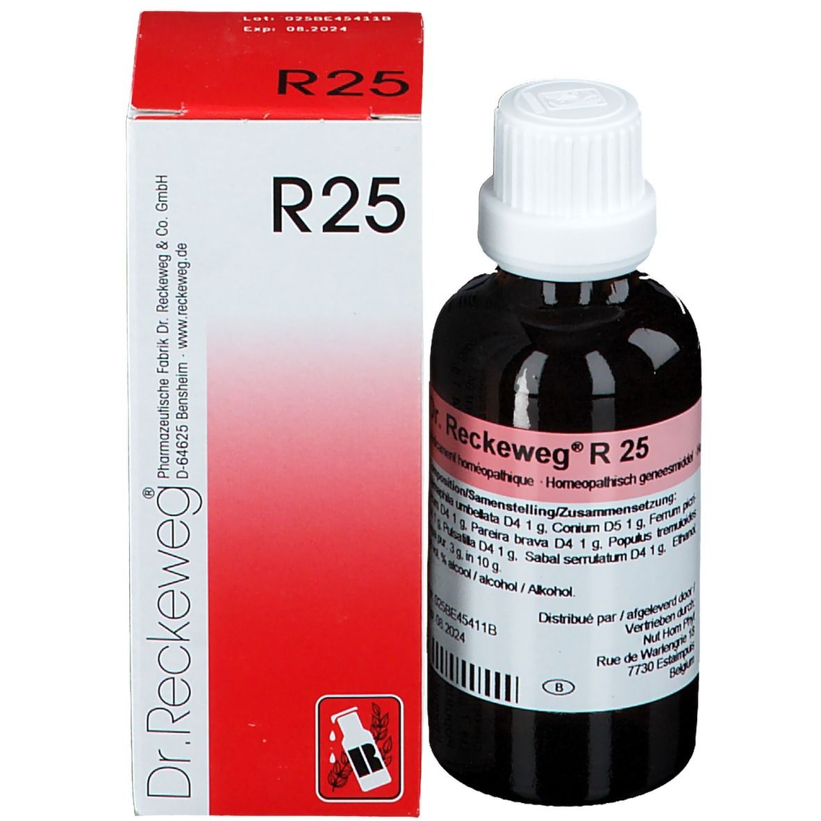 Reckeweg R 25