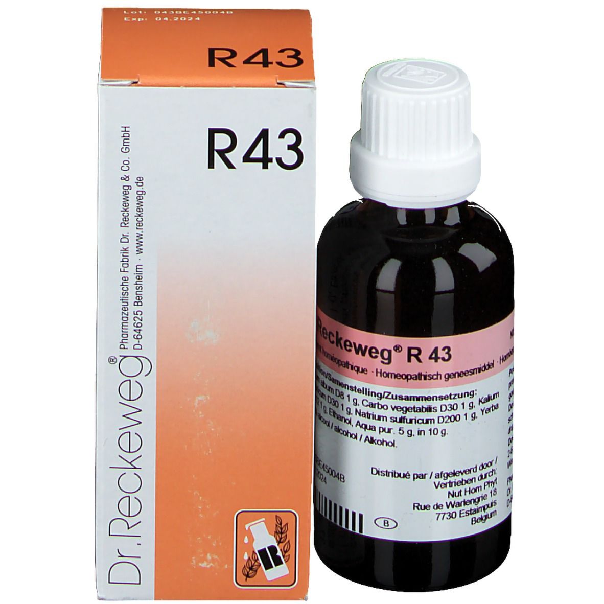 Reckeweg R 43