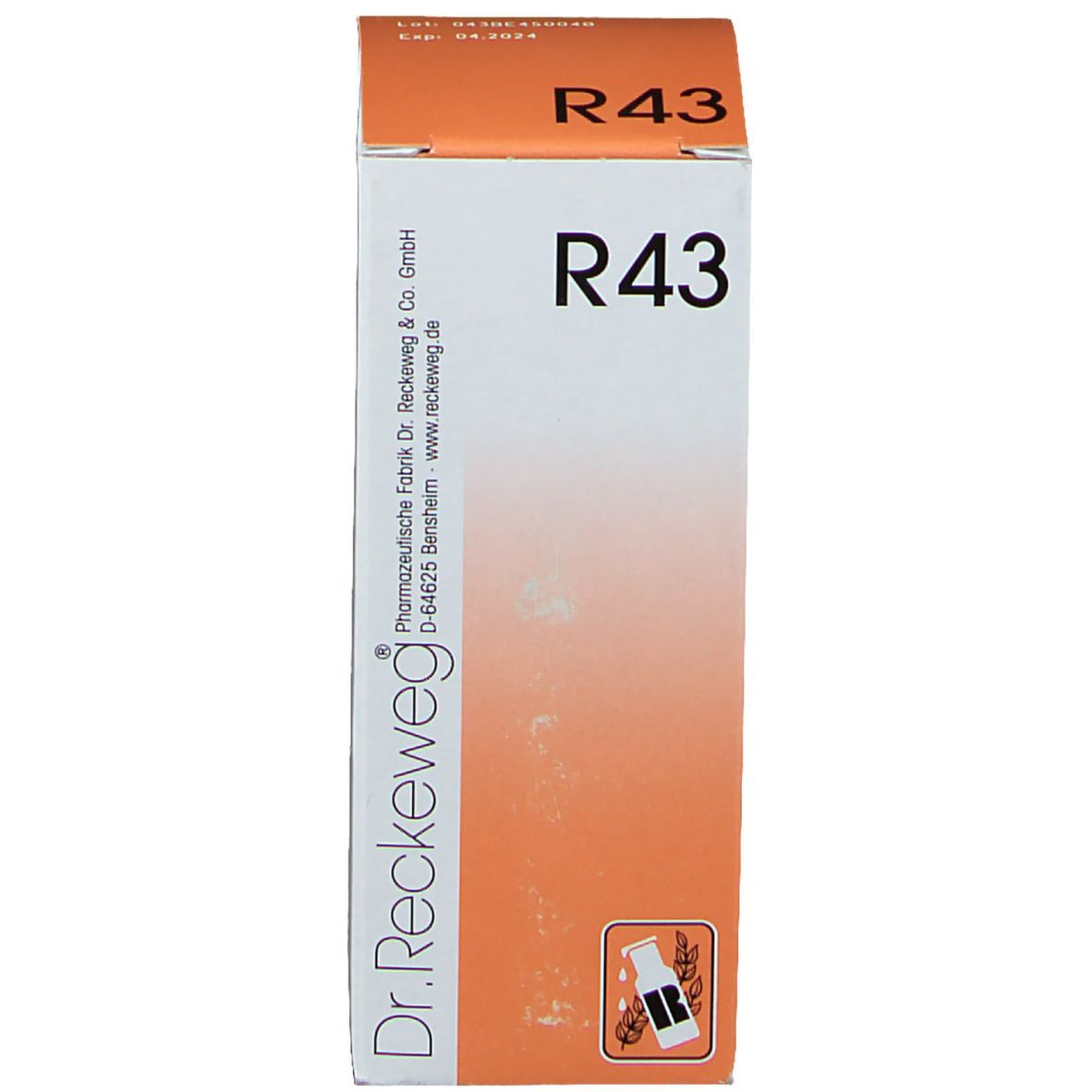 Reckeweg R 43