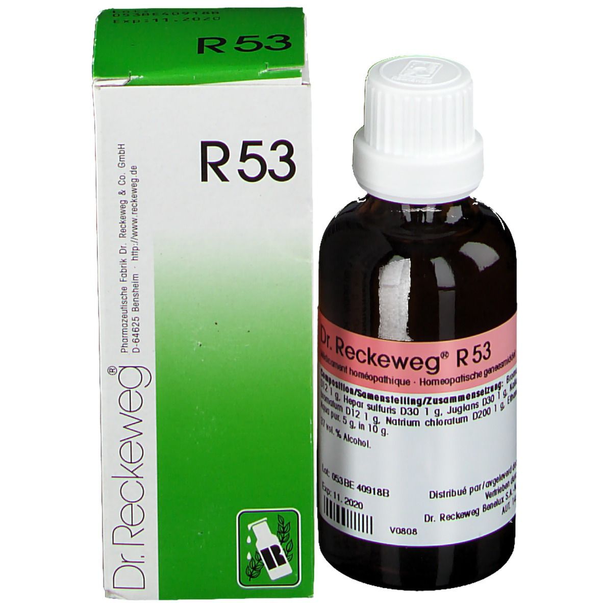 Reckeweg R 53