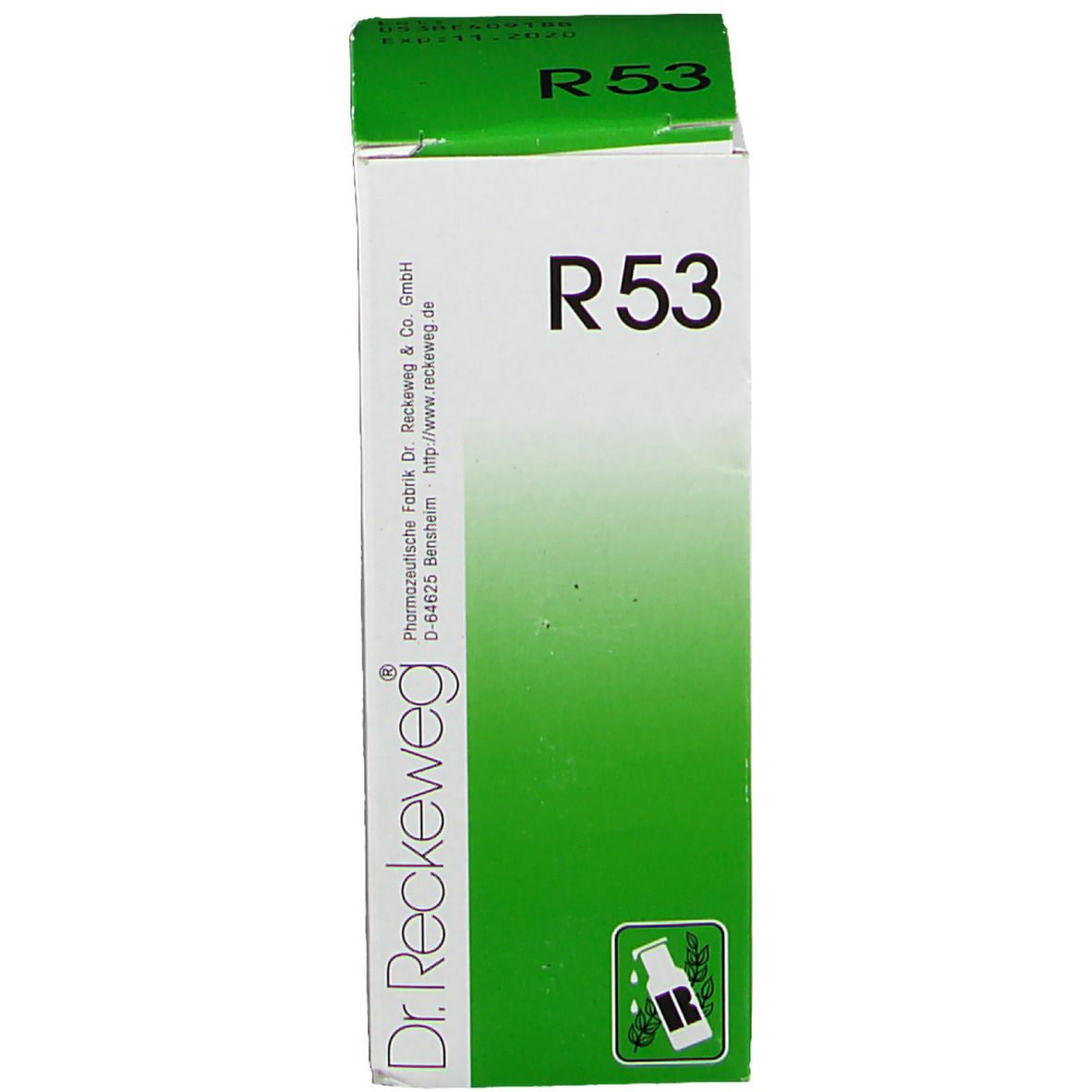 Reckeweg R 53