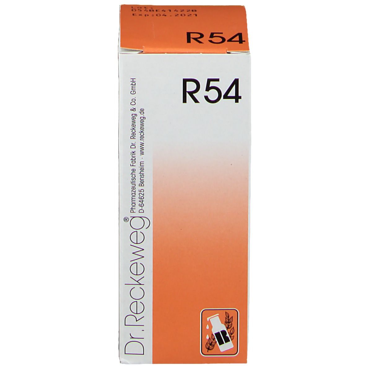 Verpakking met productnaam R54 en merk Dr. Reckeweg. Oranje-witte kleurstelling.