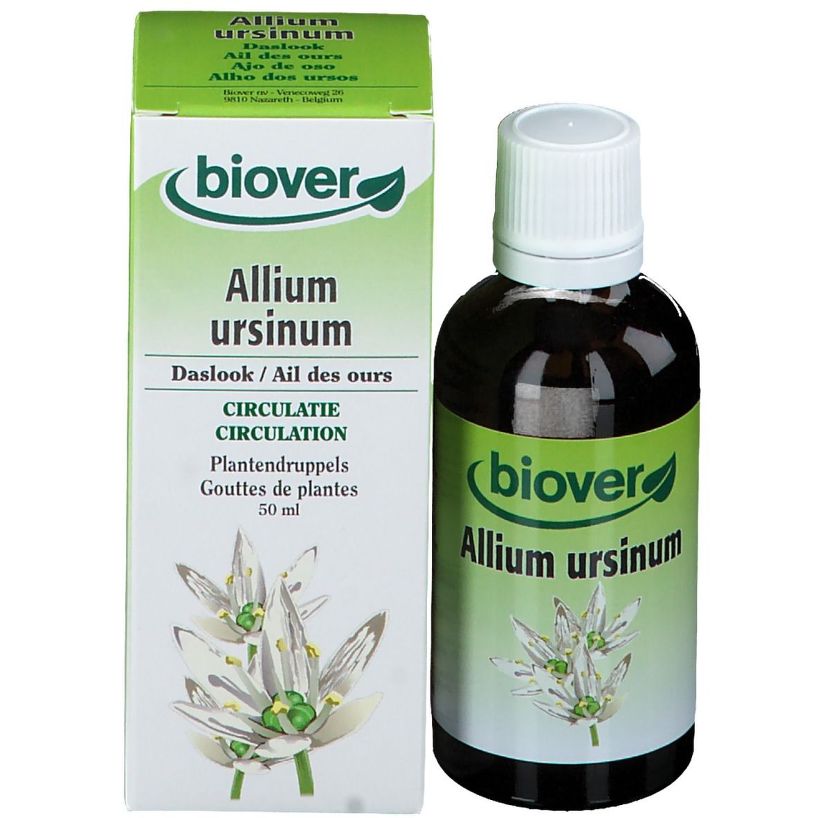 Biover Allium Ursinum Tinctuur