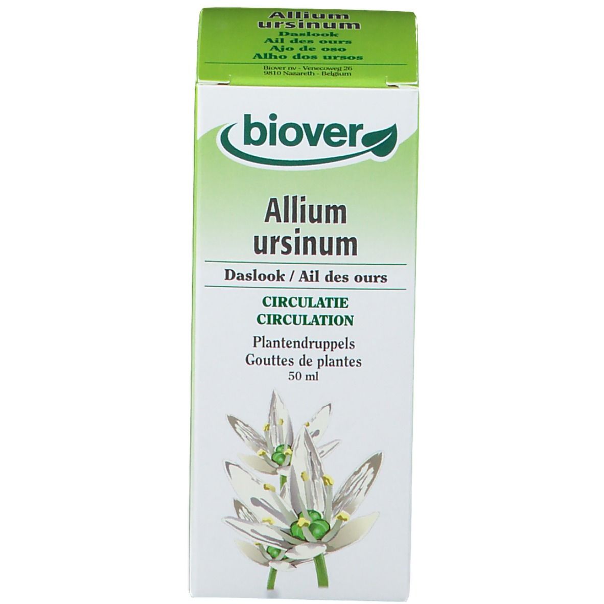 Biover Allium Ursinum Tinctuur