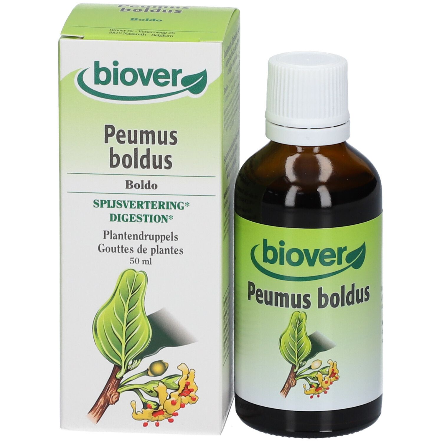 Biover Peumus Boldus - Teinture de Boldo Bio