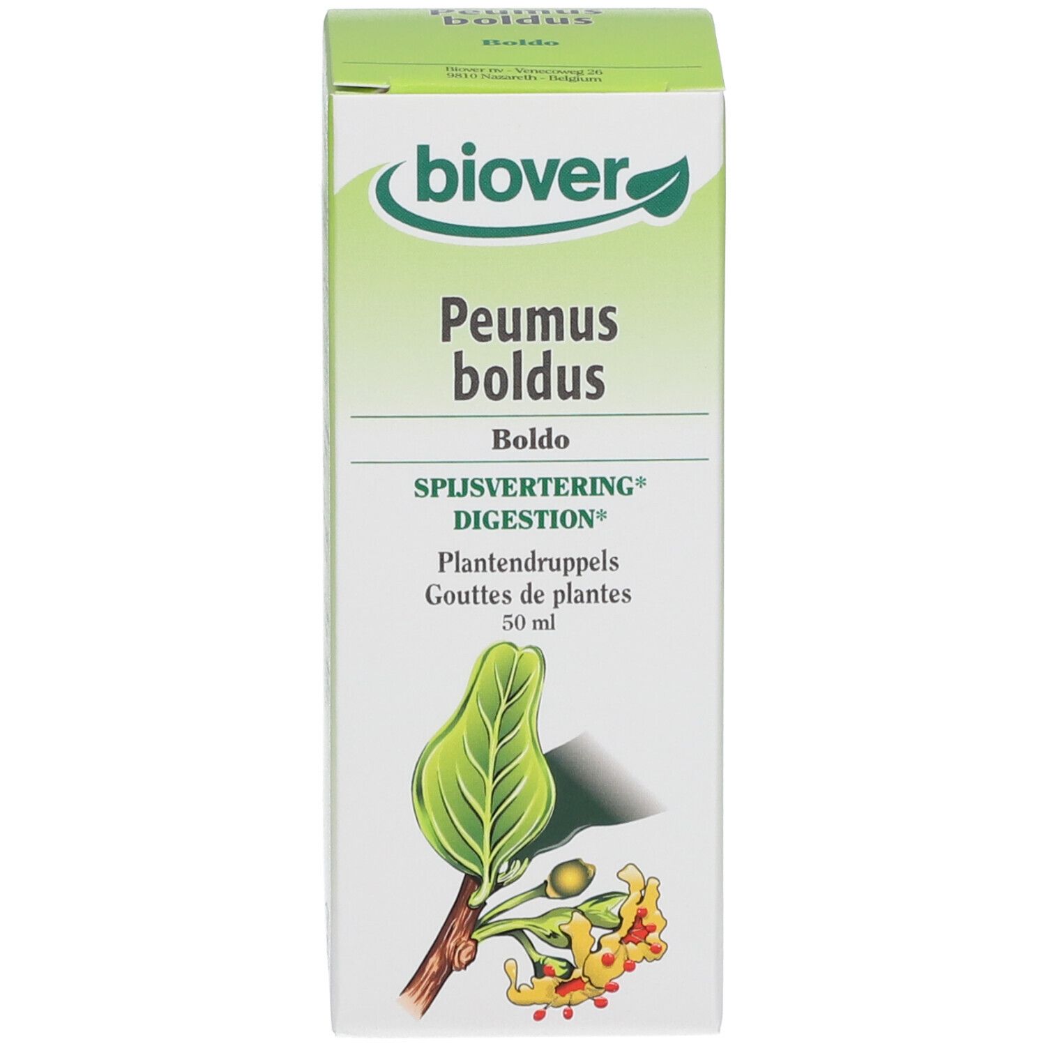 Biover Peumus Boldus - Teinture de Boldo Bio