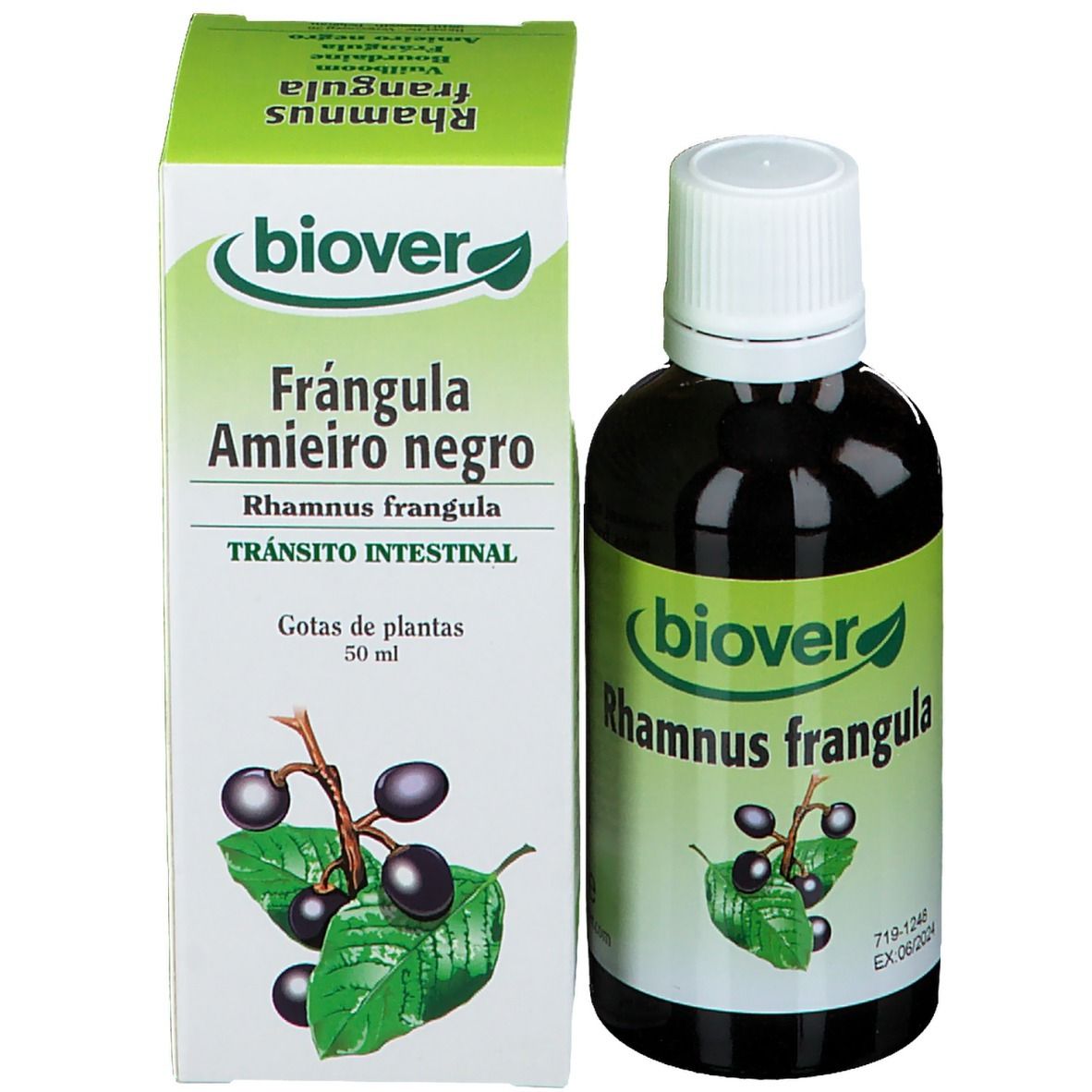 Biover Rhamnus Frangula Teinture de Nerprun Bio