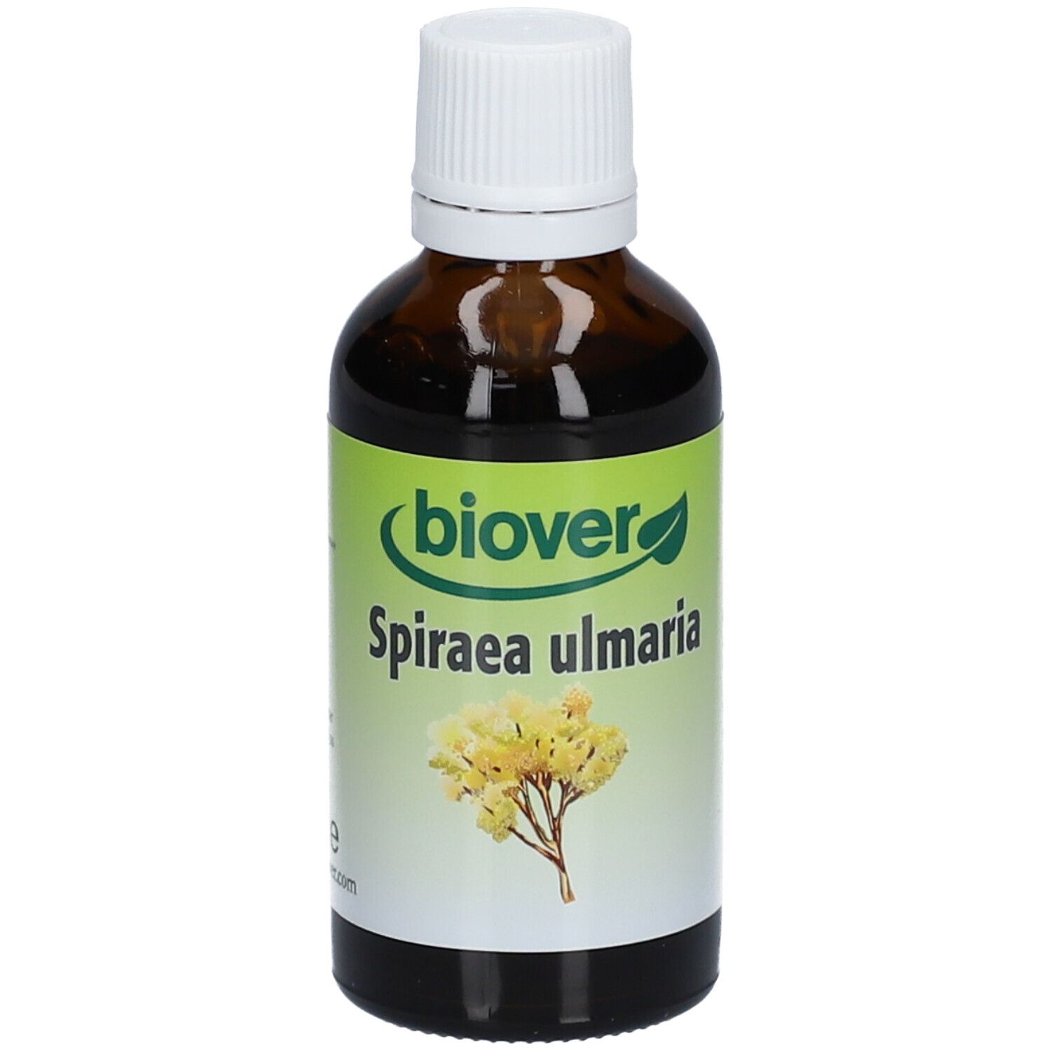 Biover Spiraea Ulmaria Teinture de Reine-des-Prés Bio