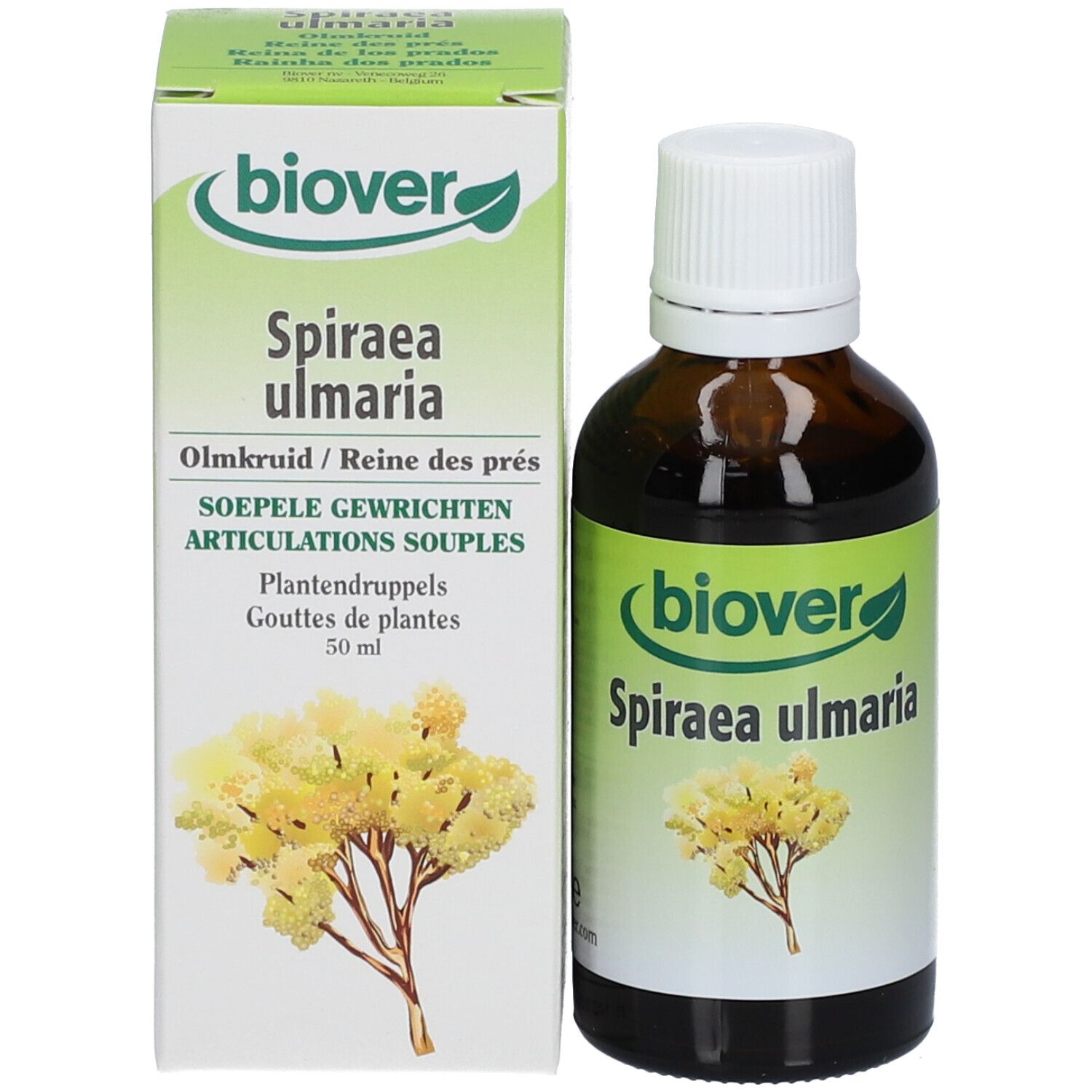 Biover Spiraea Ulmaria Teinture de Reine-des-Prés Bio
