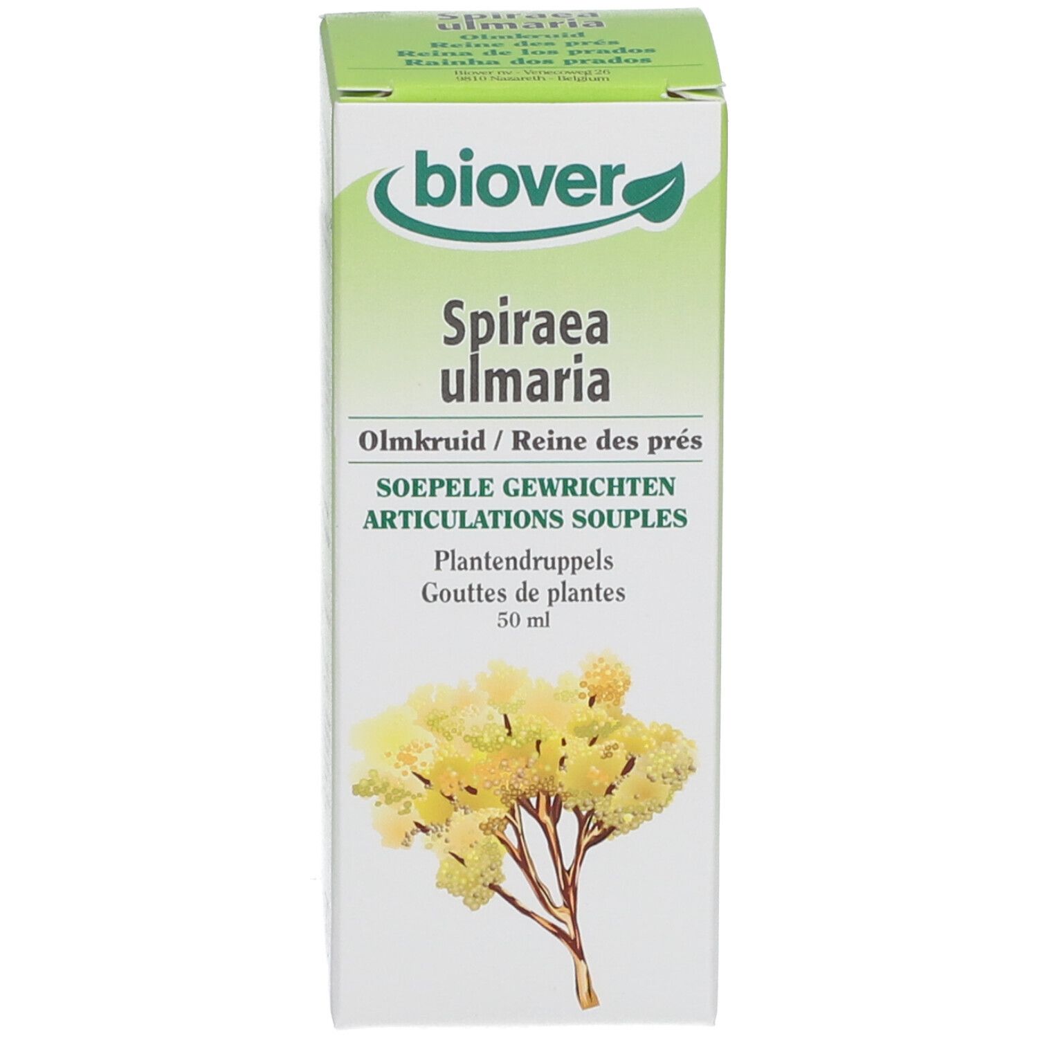 Biover Spiraea Ulmaria Teinture de Reine-des-Prés Bio