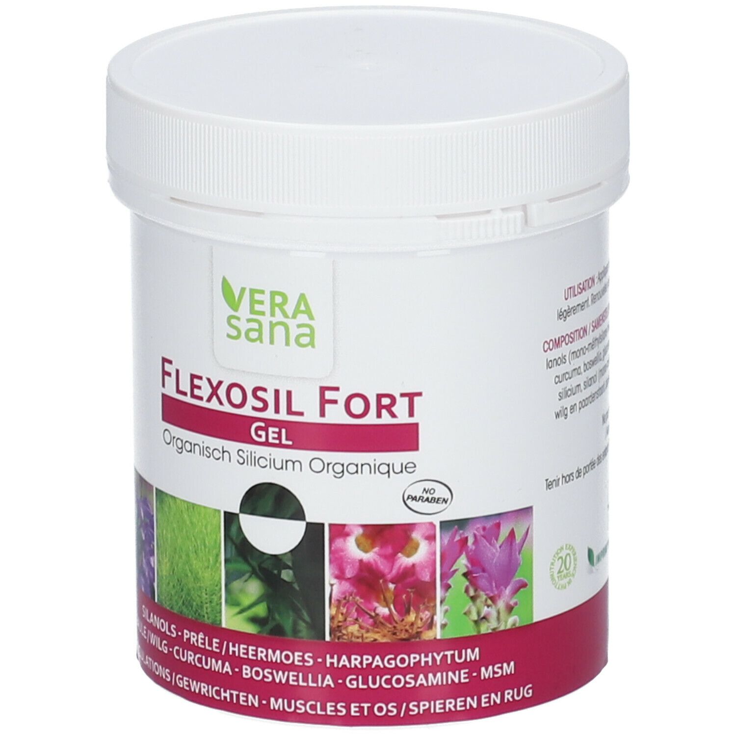 Flexosil Fort