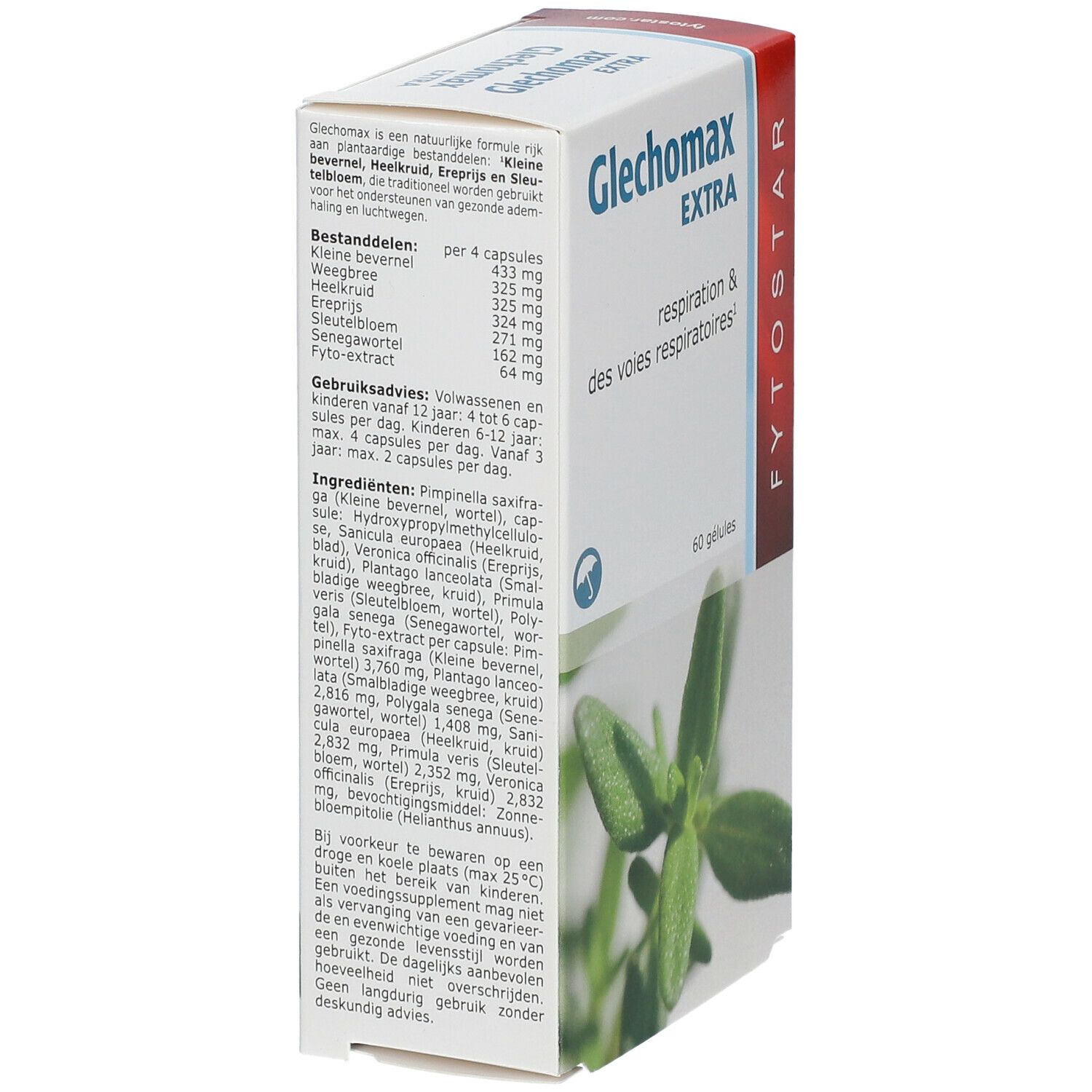 Fytostar Glechomax Extra