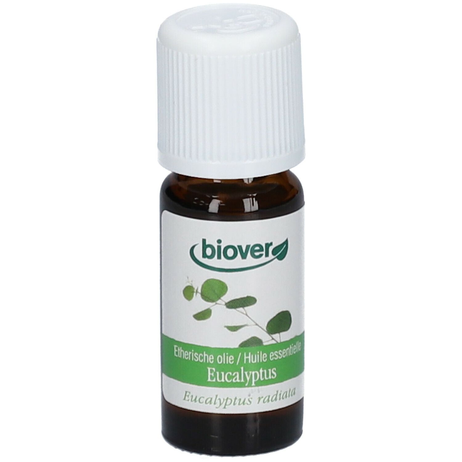 Biover Huile Essentielle Eucalyptus Radiata