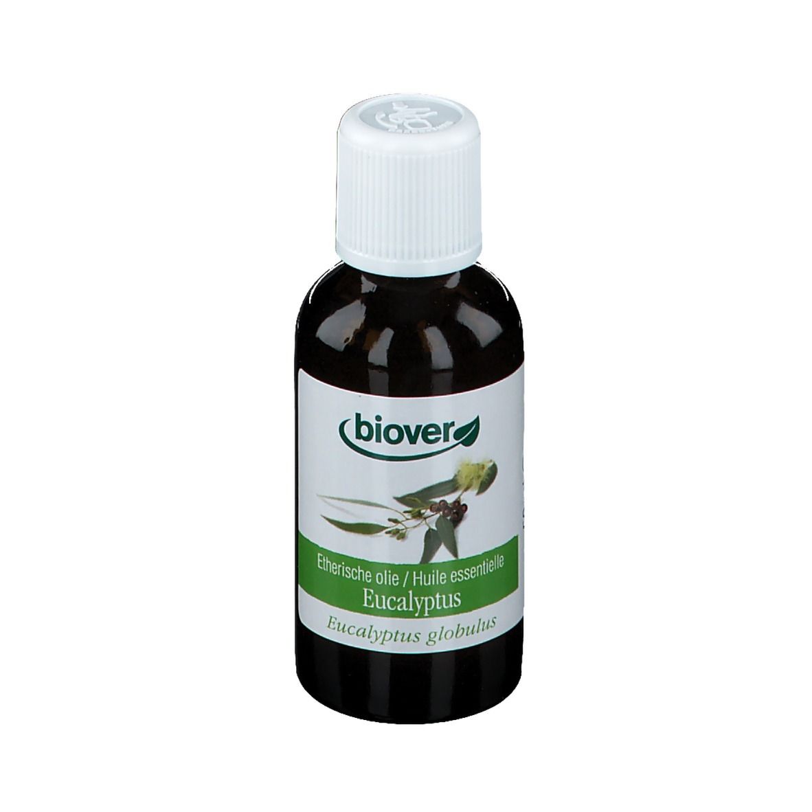 Biover Huile Essentielle Eucalyptus Commun – Voies Respiratoires – Huile Essentielle 100 % Bio