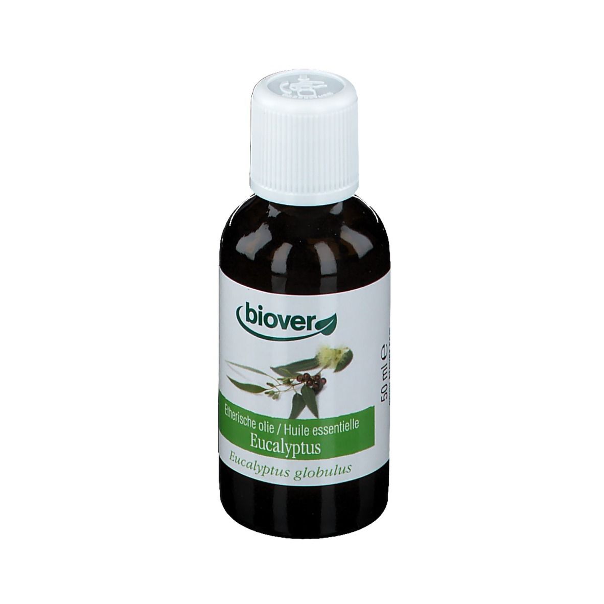 Biover Huile Essentielle Eucalyptus Commun – Voies Respiratoires – Huile Essentielle 100 % Bio