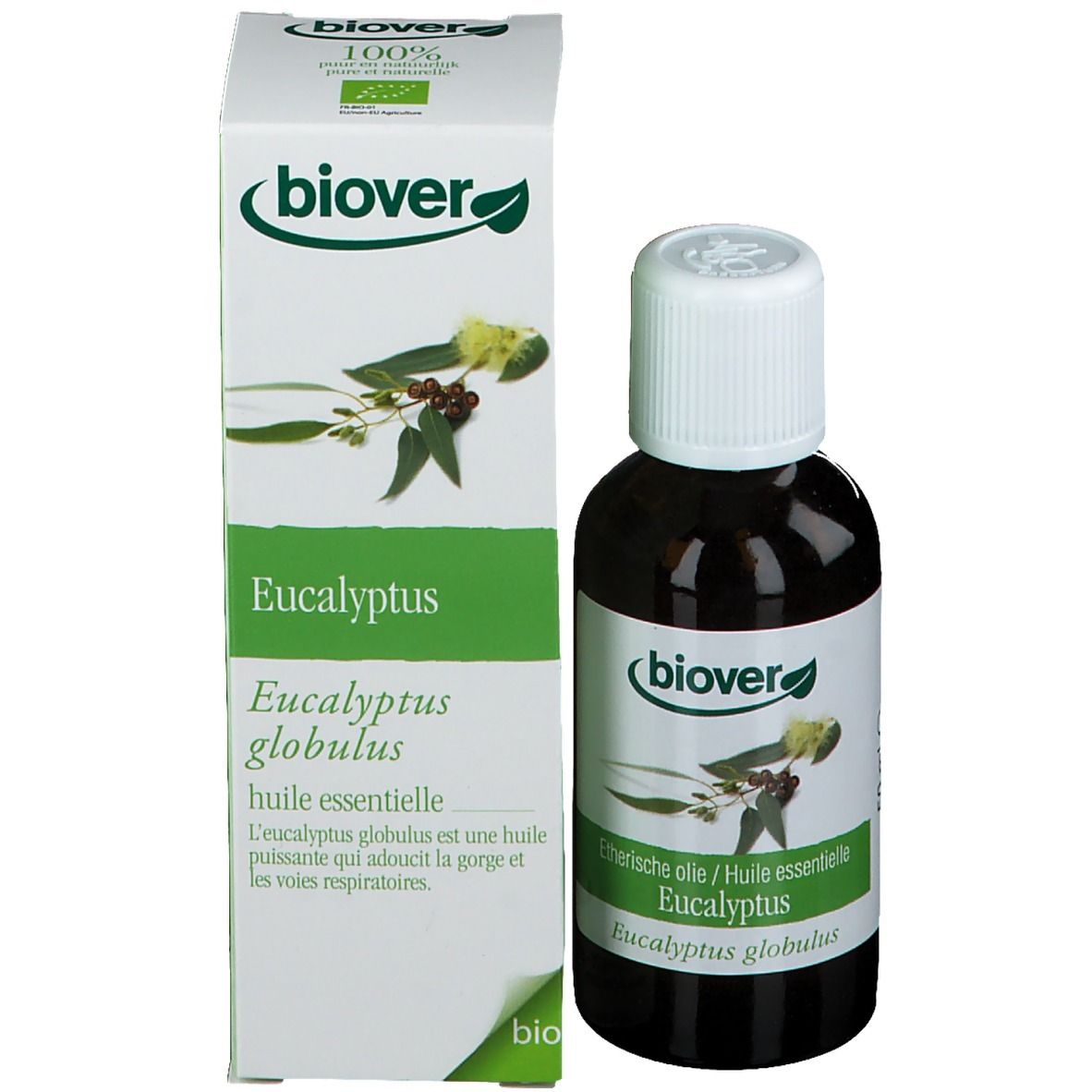 Biover Huile Essentielle Eucalyptus Commun – Voies Respiratoires – Huile Essentielle 100 % Bio