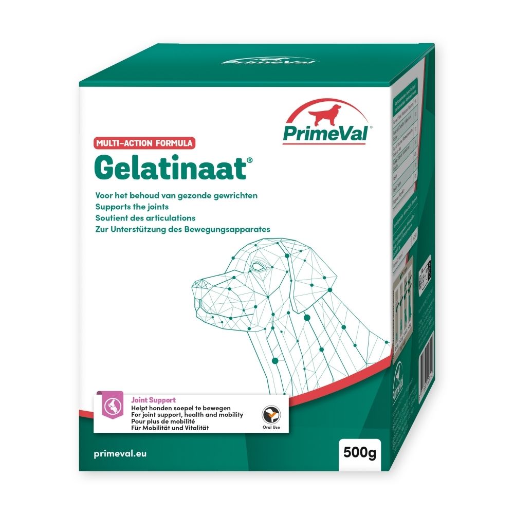 PrimeVal Gelatinaat kartonnen doos met hondengrafiek en productinformatie.