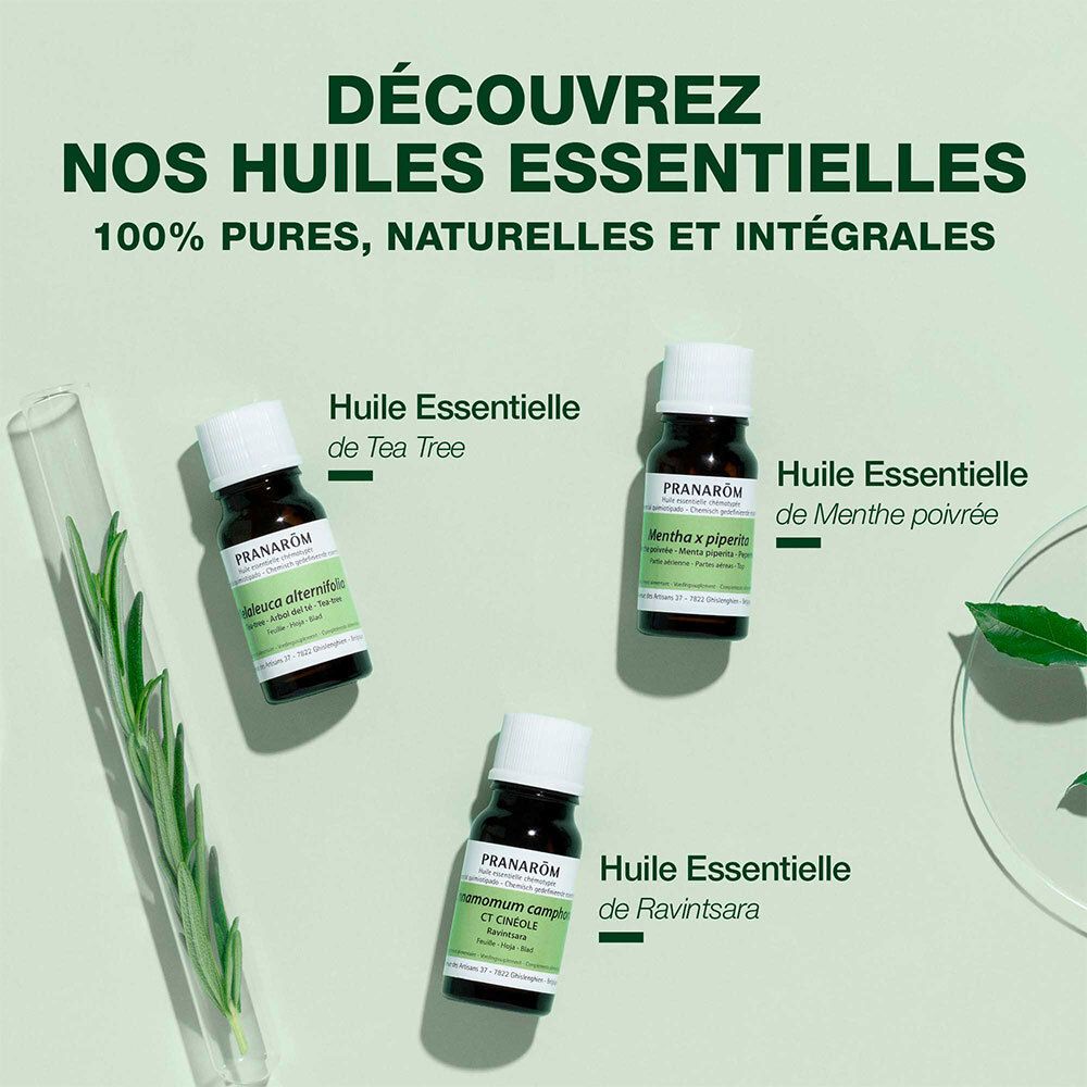 Plusieurs huiles essentielles en flacons. PRANAROM. 100% pures, naturelles et intégrales.