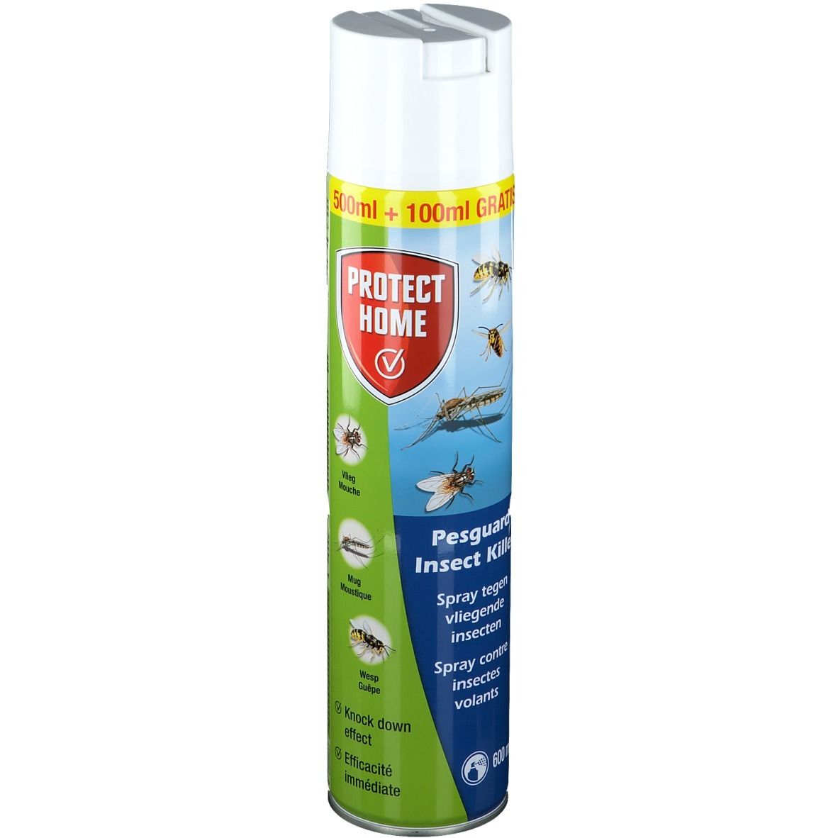Aérosol avec bouchon blanc. Inscription: Protect Home, Pesguard Insect Killer. Illustration d'insectes.