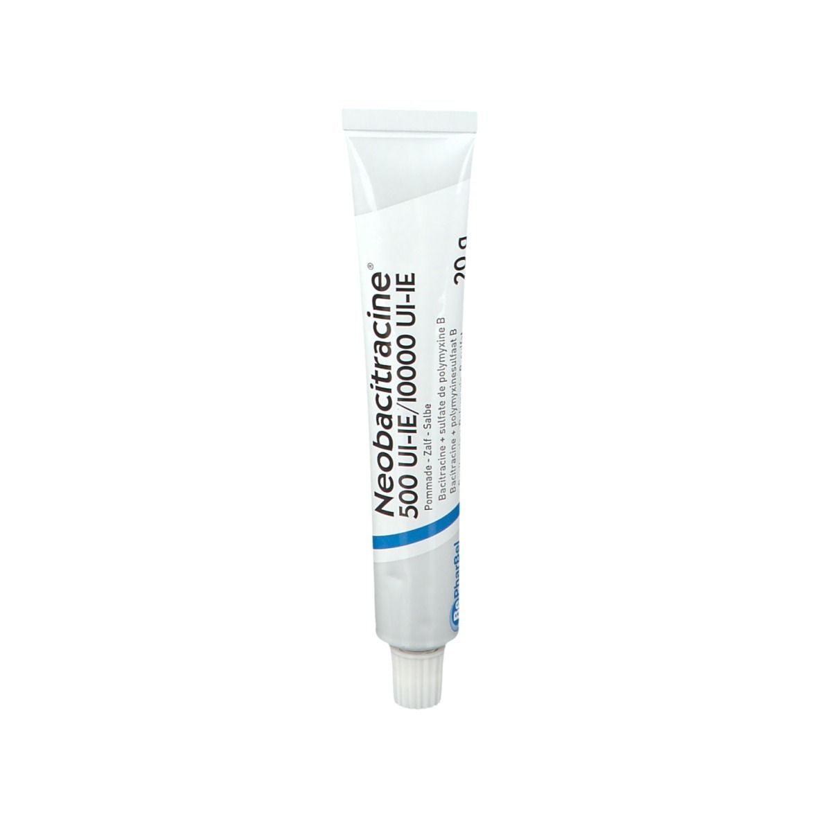 Neobacitracine Pommade Dermatrice